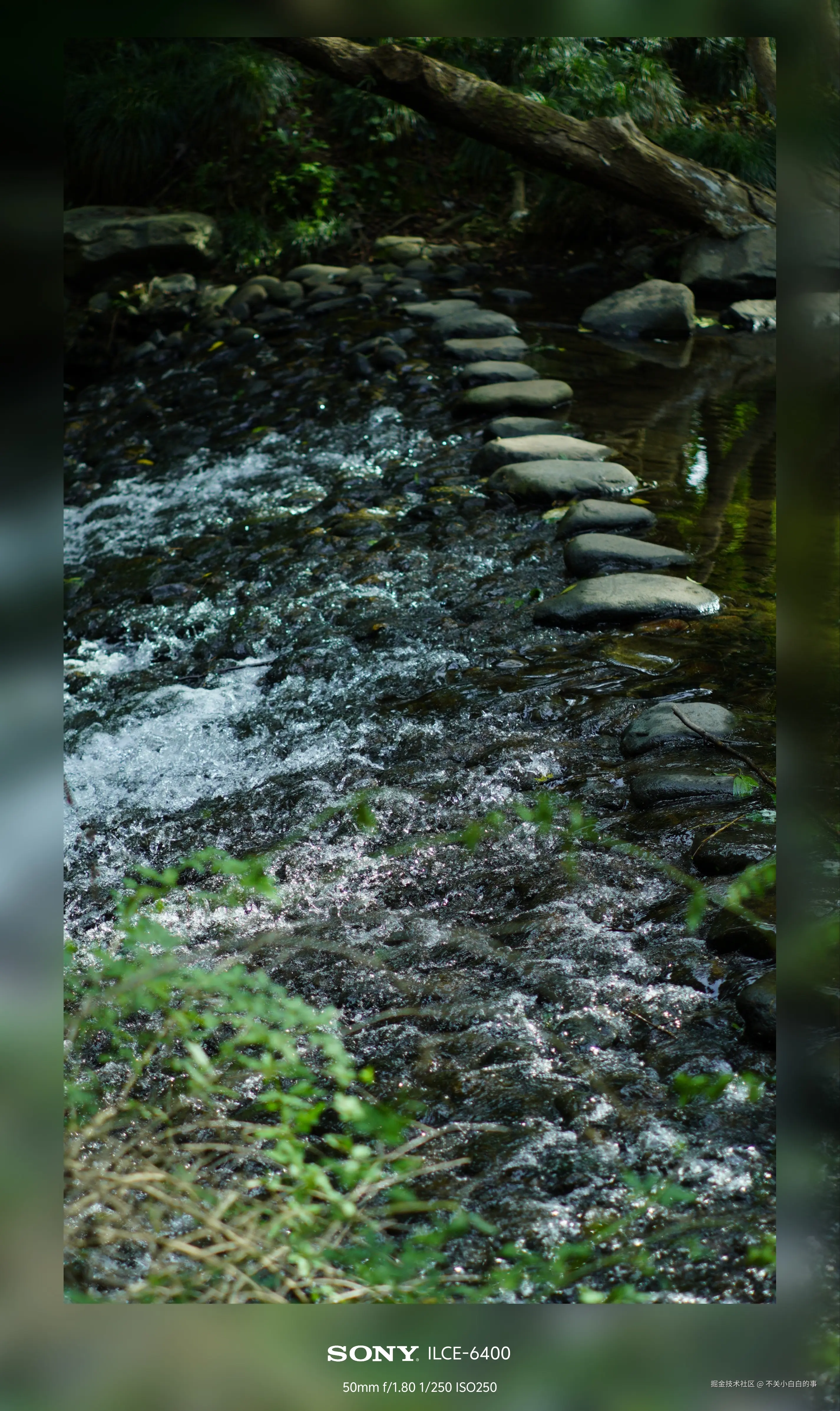 不关小白白的事于2024-10-08 14:03发布的图片