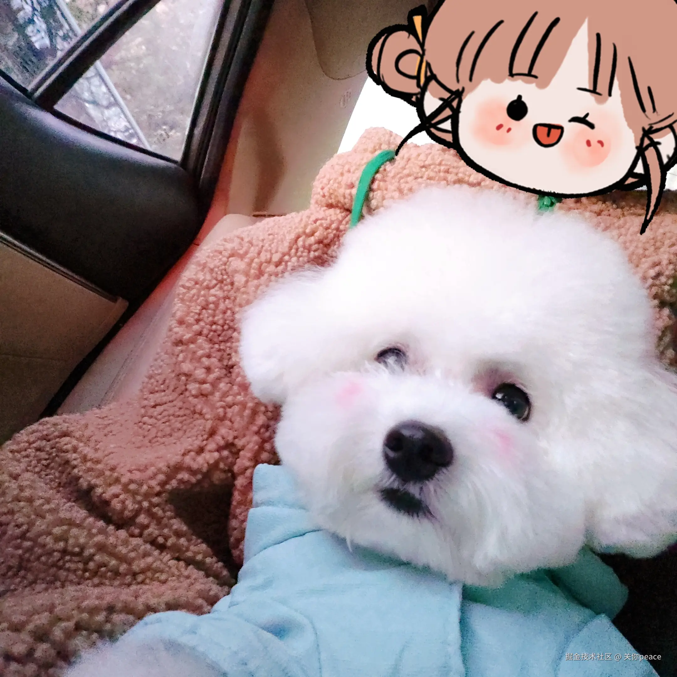 关你peace于2024-11-18 09:18发布的图片