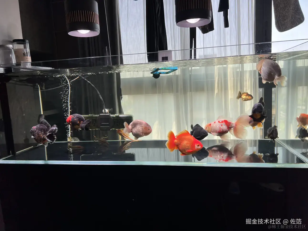 佐笾于2024-08-06 13:40发布的图片