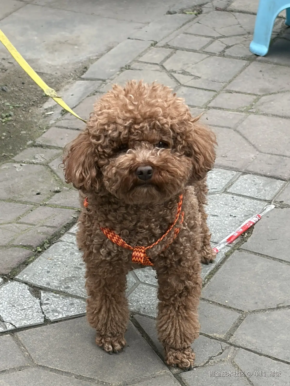 单纯_稀饭于2026-03-27 09:25发布的图片