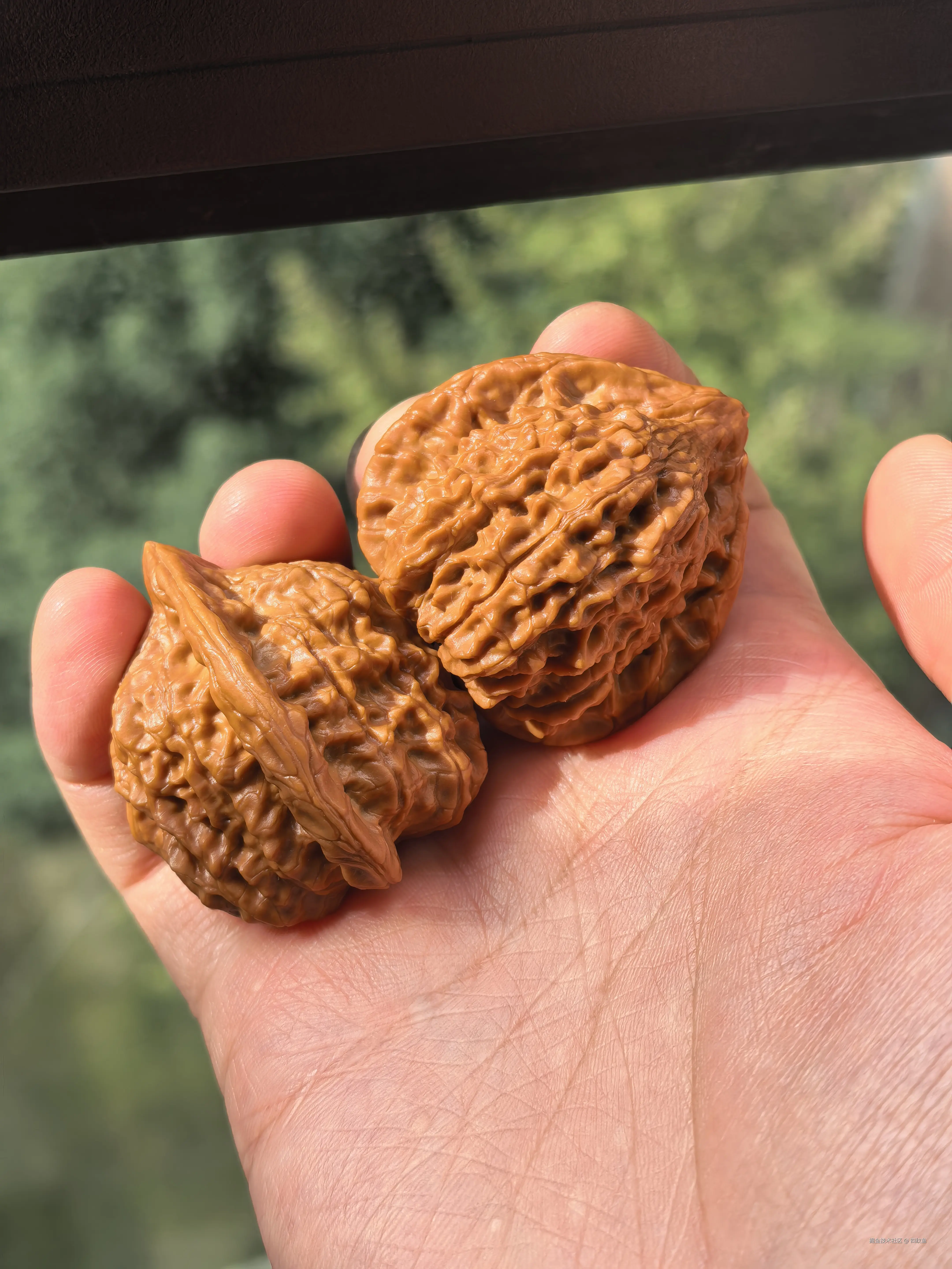 四纹鱼于2025-11-19 16:22发布的图片