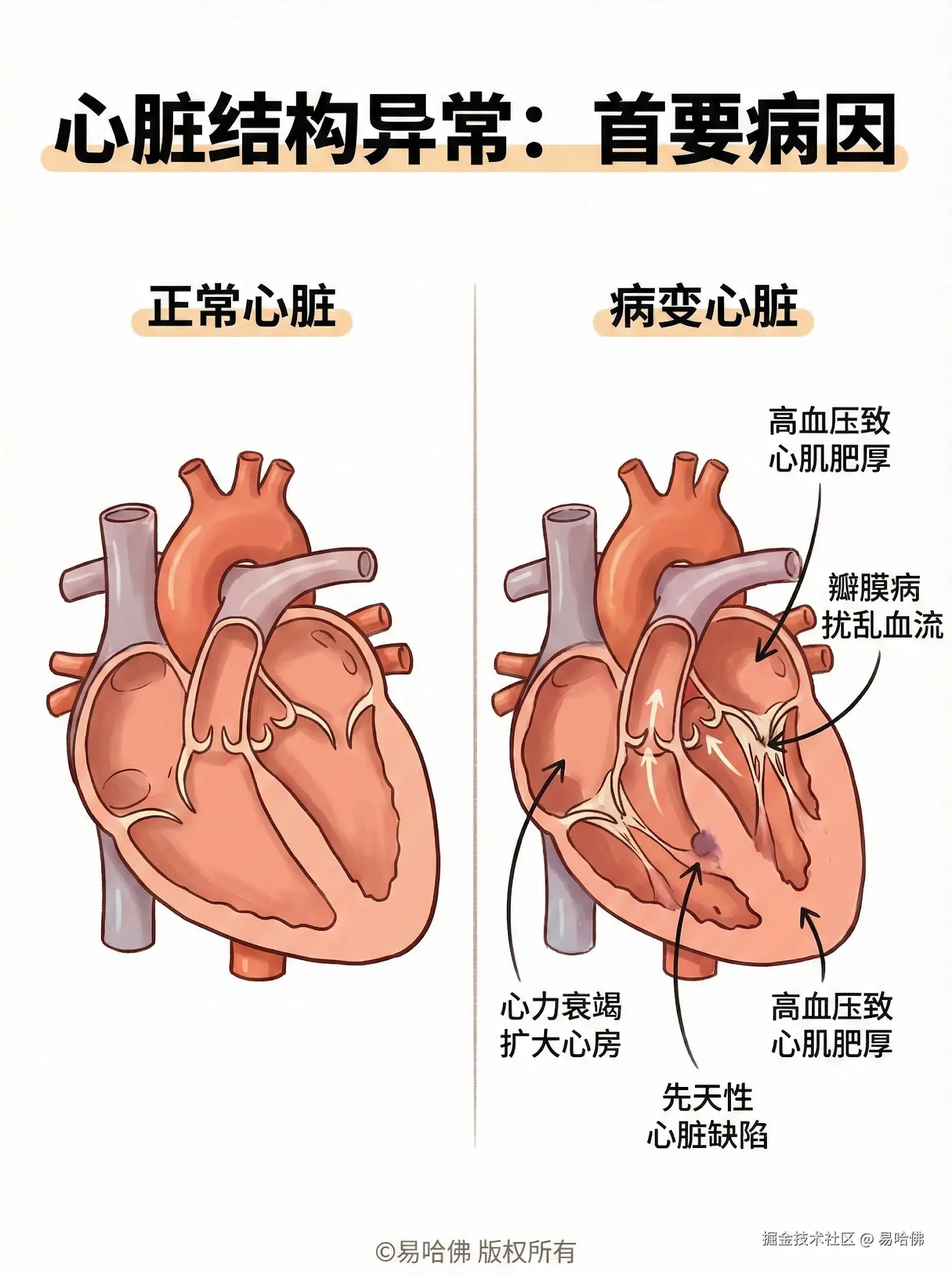 易哈佛于2026-01-04 10:45发布的图片