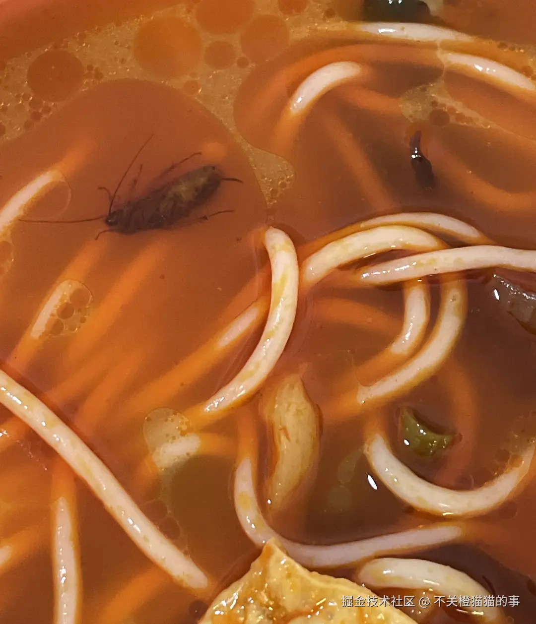 不关橙猫猫的事于2026-03-24 09:47发布的图片