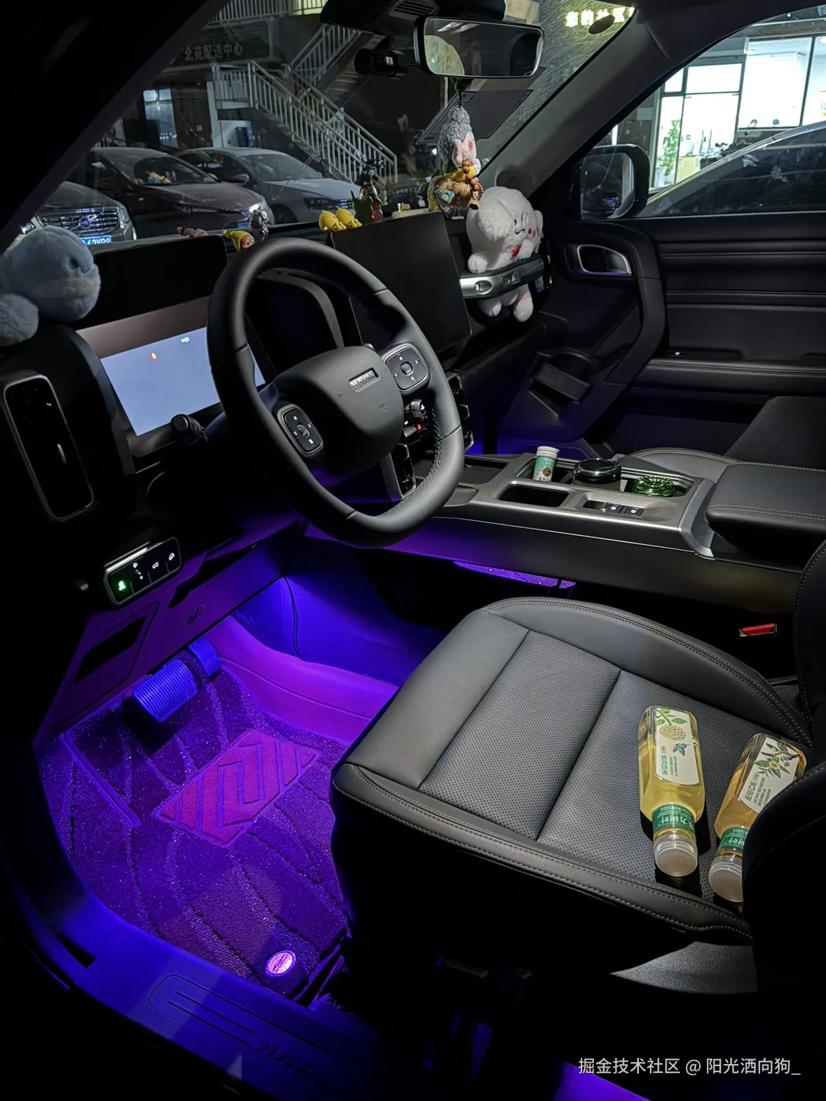 阳光洒向狗_于2026-02-02 16:18发布的图片