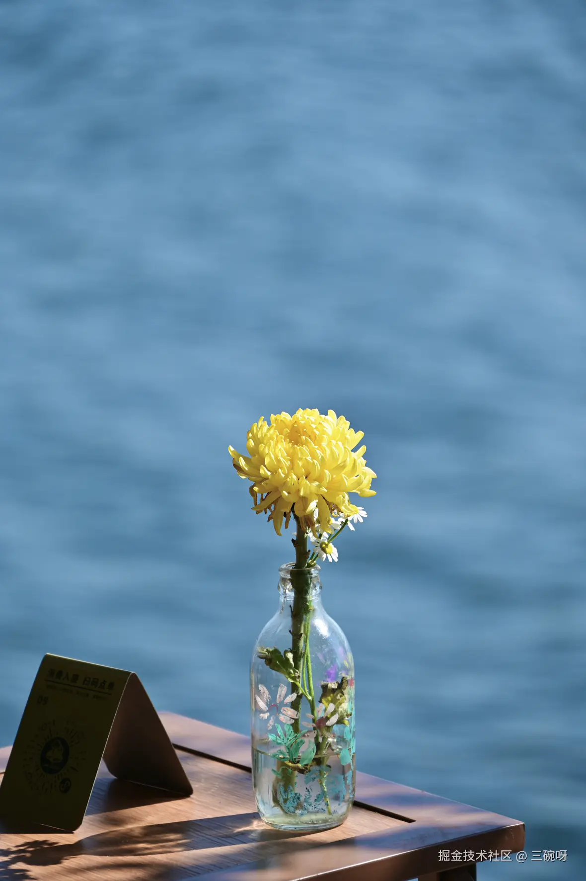 三碗呀于2026-03-12 13:06发布的图片