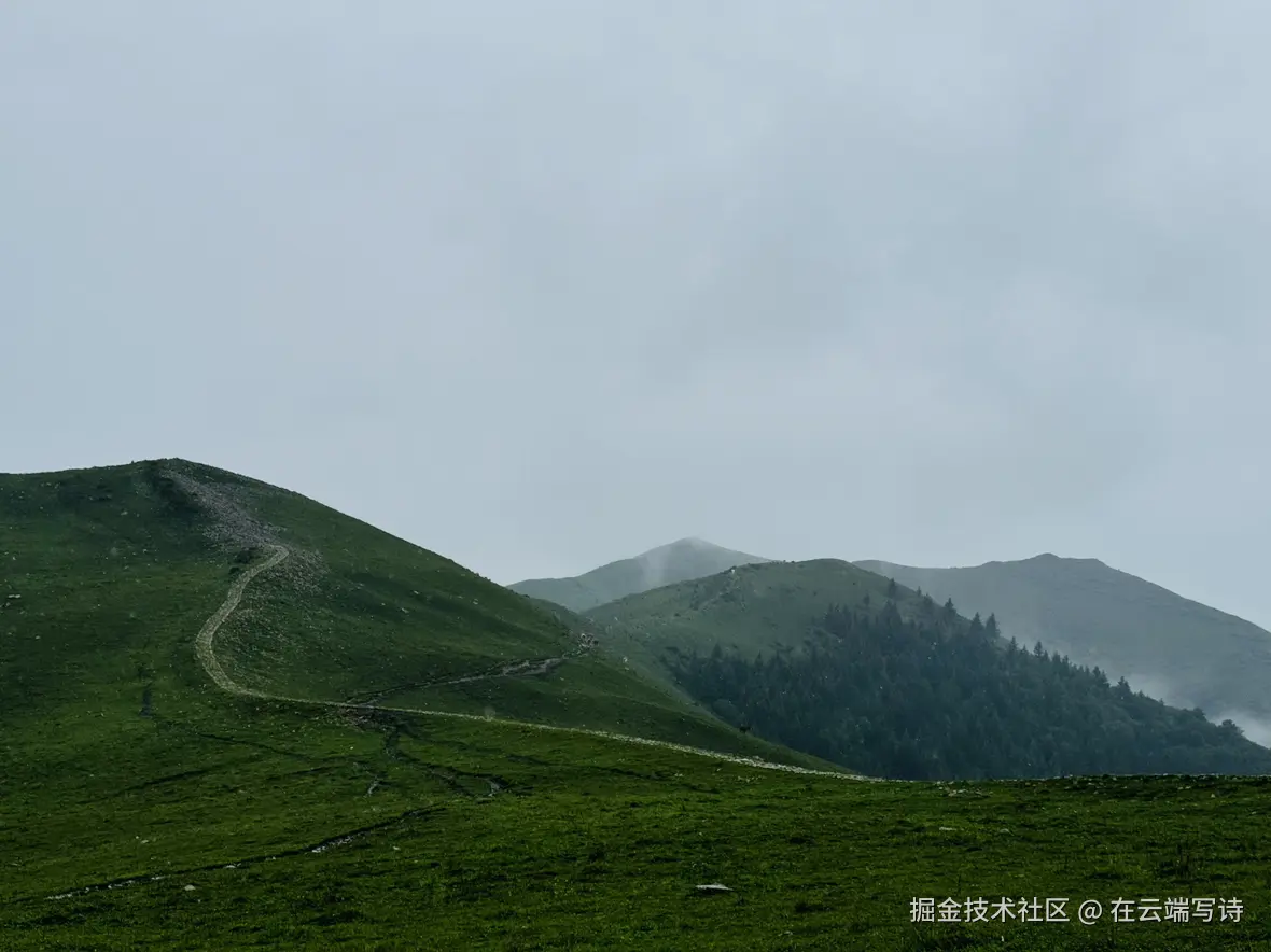 在云端写诗于2025-08-25 06:25发布的图片