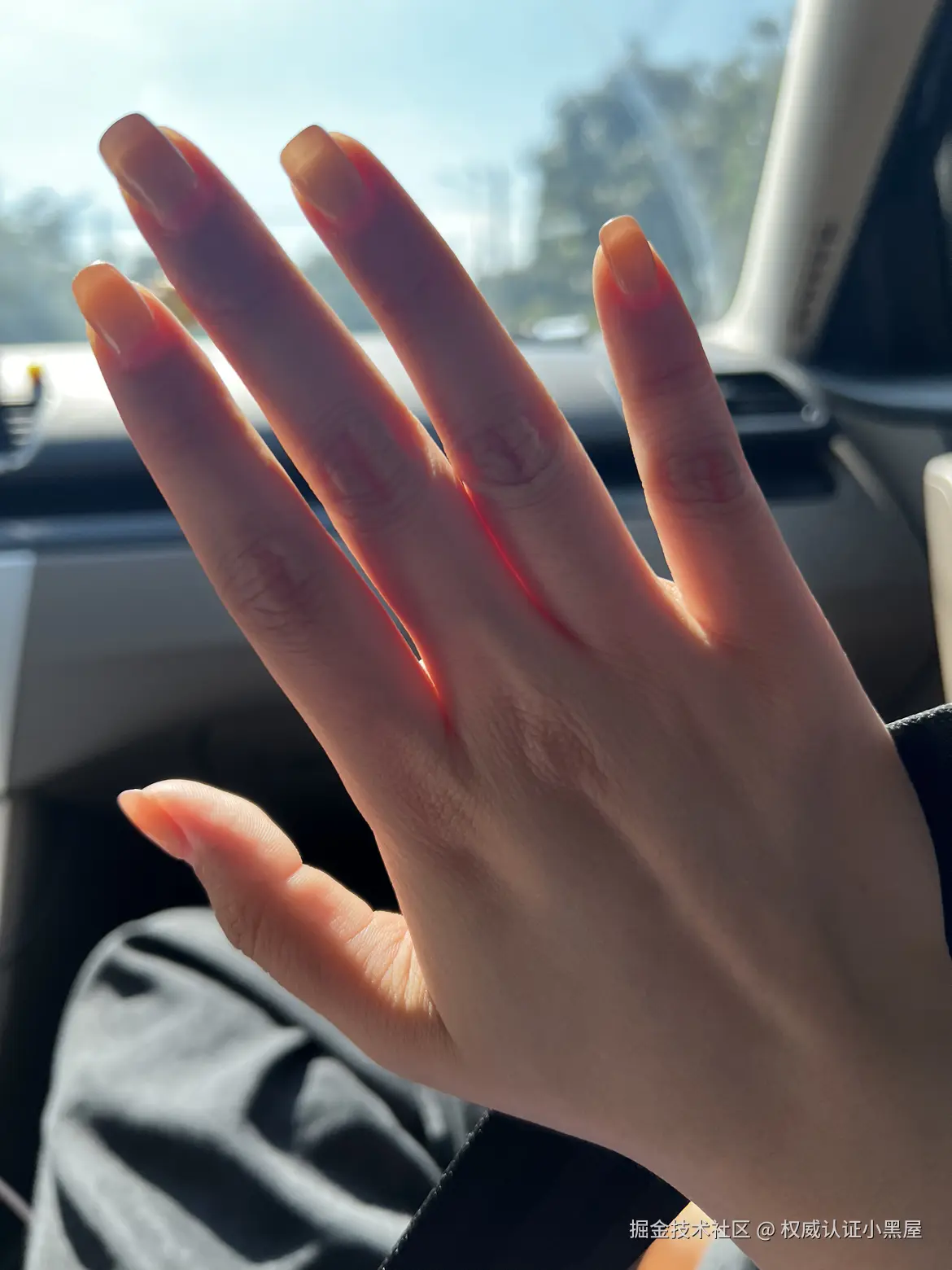 权威认证小黑屋于2025-08-11 16:34发布的图片