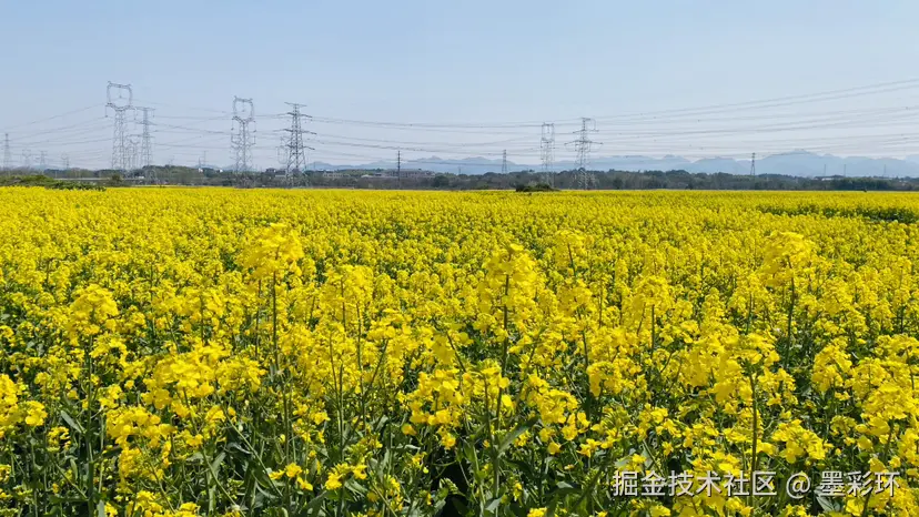 墨彩环于2025-03-20 23:09发布的图片