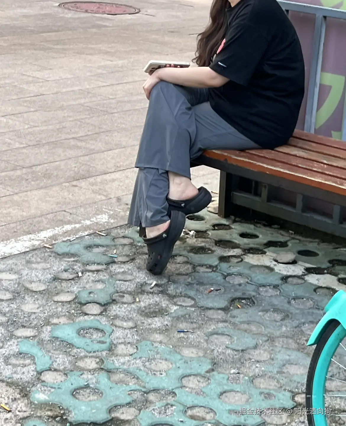 阳光洒向狗_于2024-08-28 17:58发布的图片