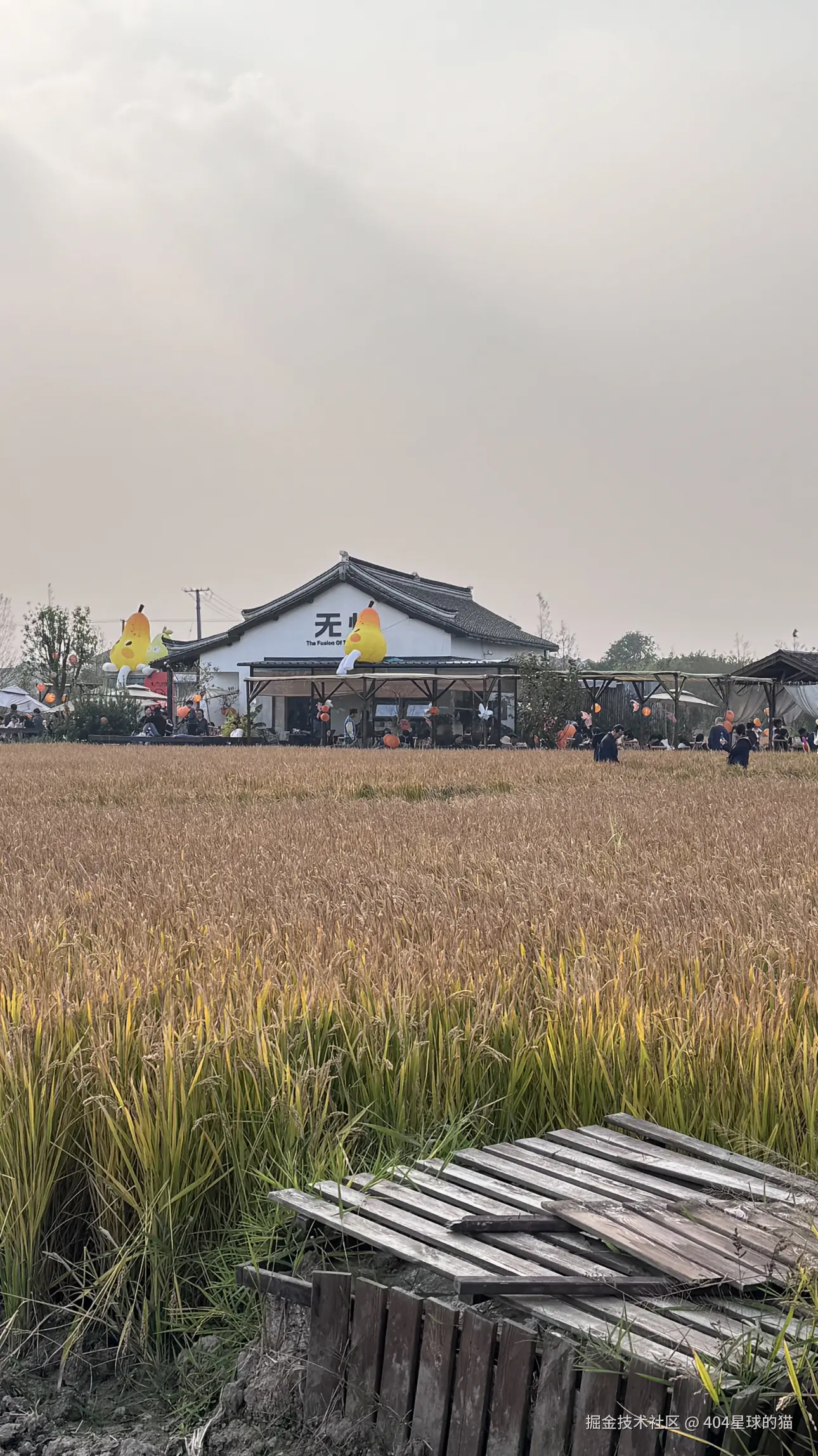 404星球的猫于2025-11-02 13:09发布的图片