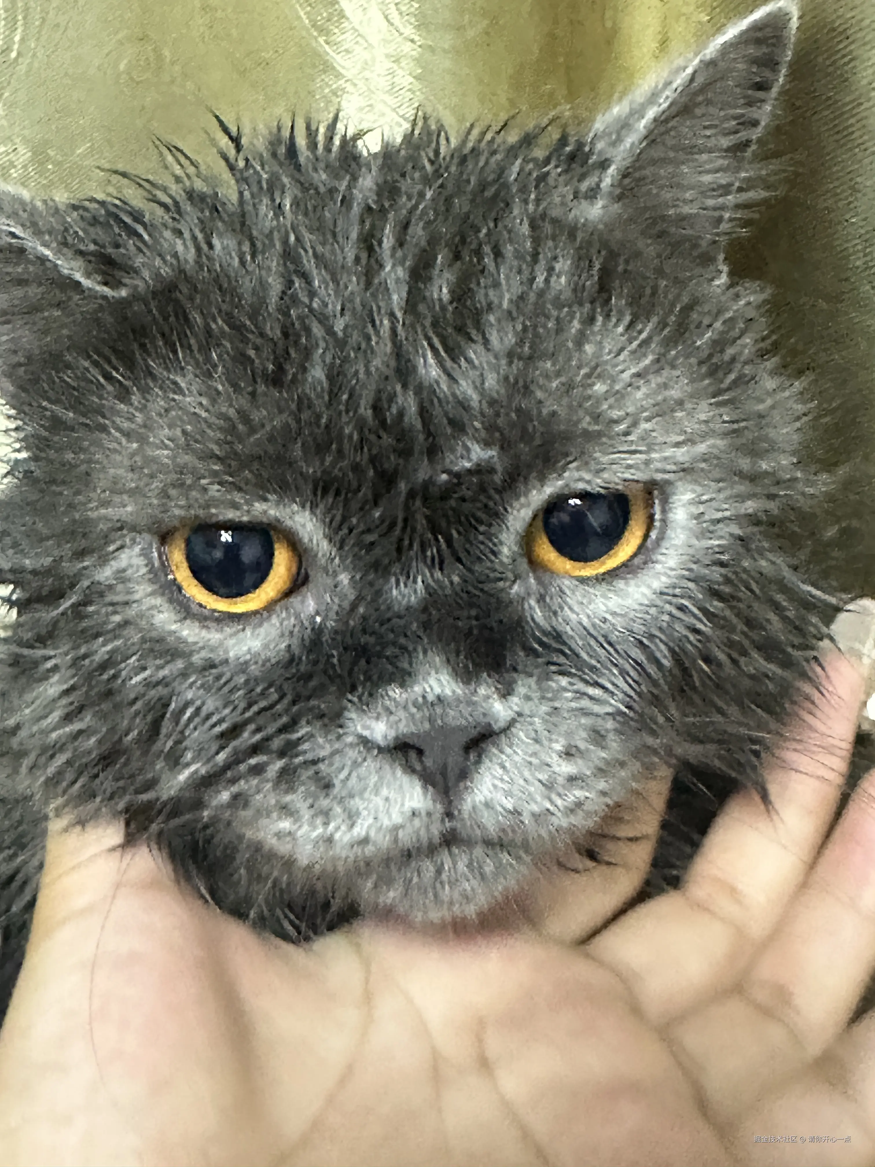 请你开心一点于2025-04-11 15:32发布的图片