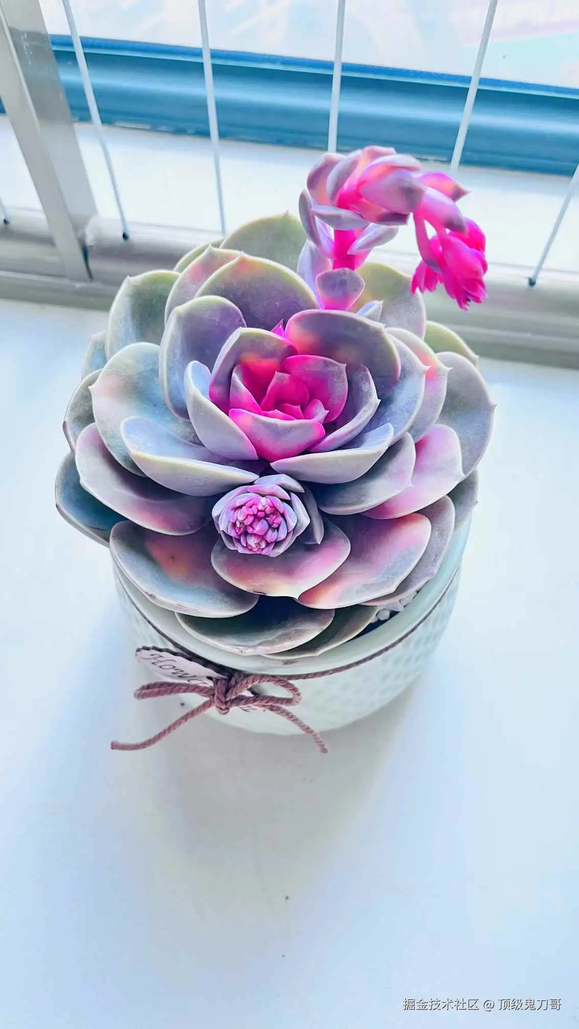 顶级鬼刀哥于2025-02-17 03:17发布的图片