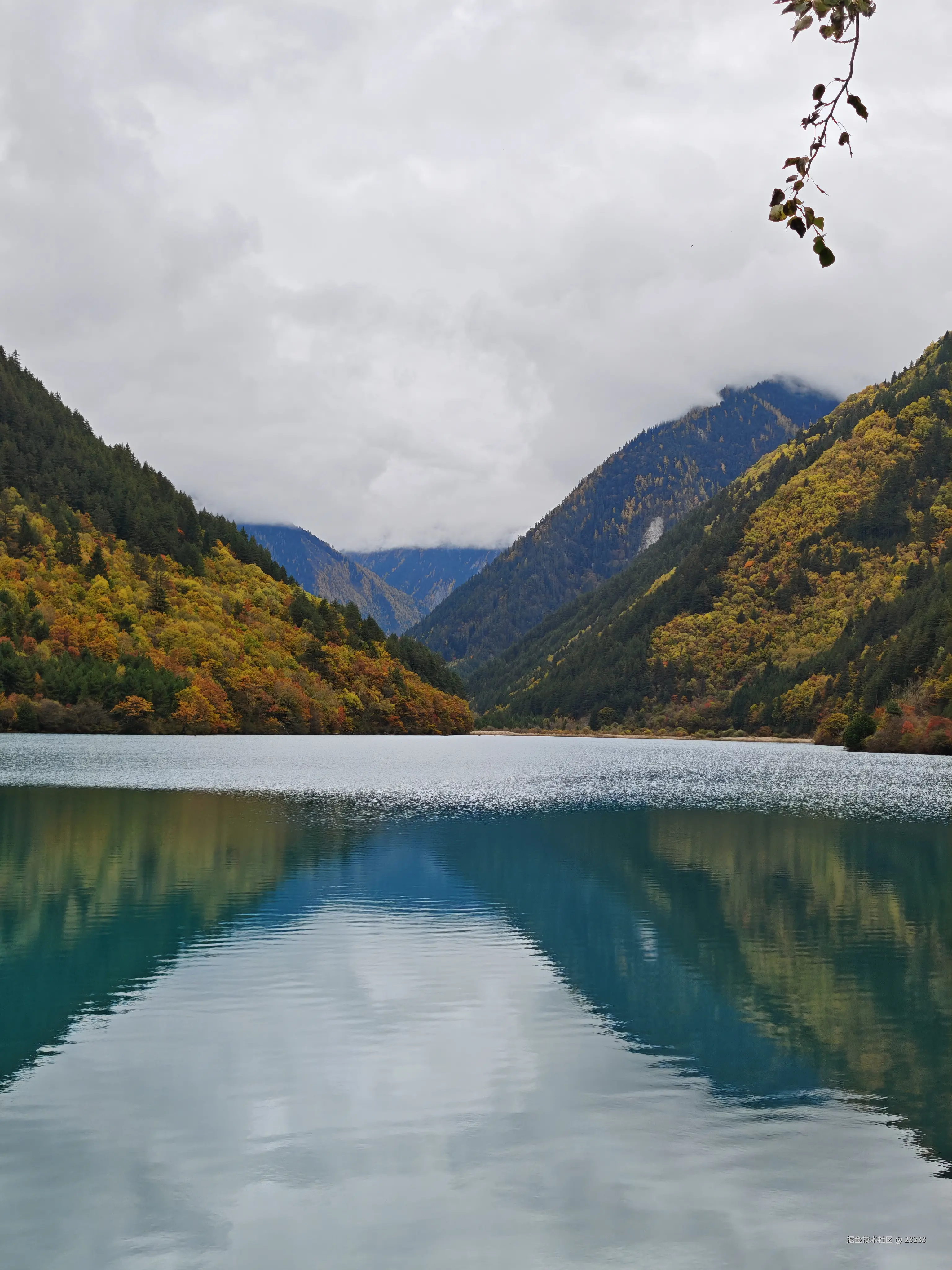 23233于2025-11-06 15:52发布的图片