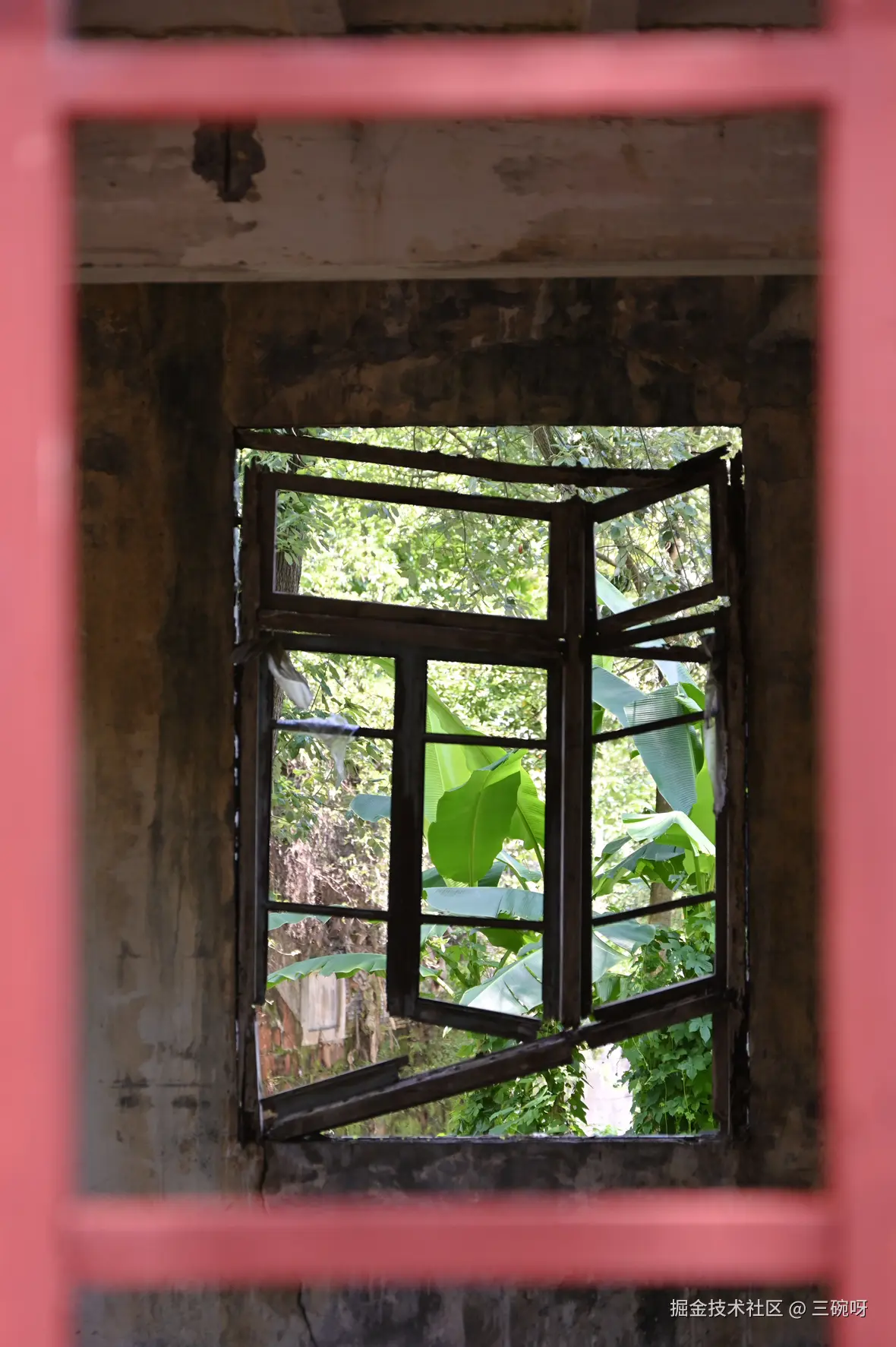 三碗呀于2025-07-28 10:00发布的图片