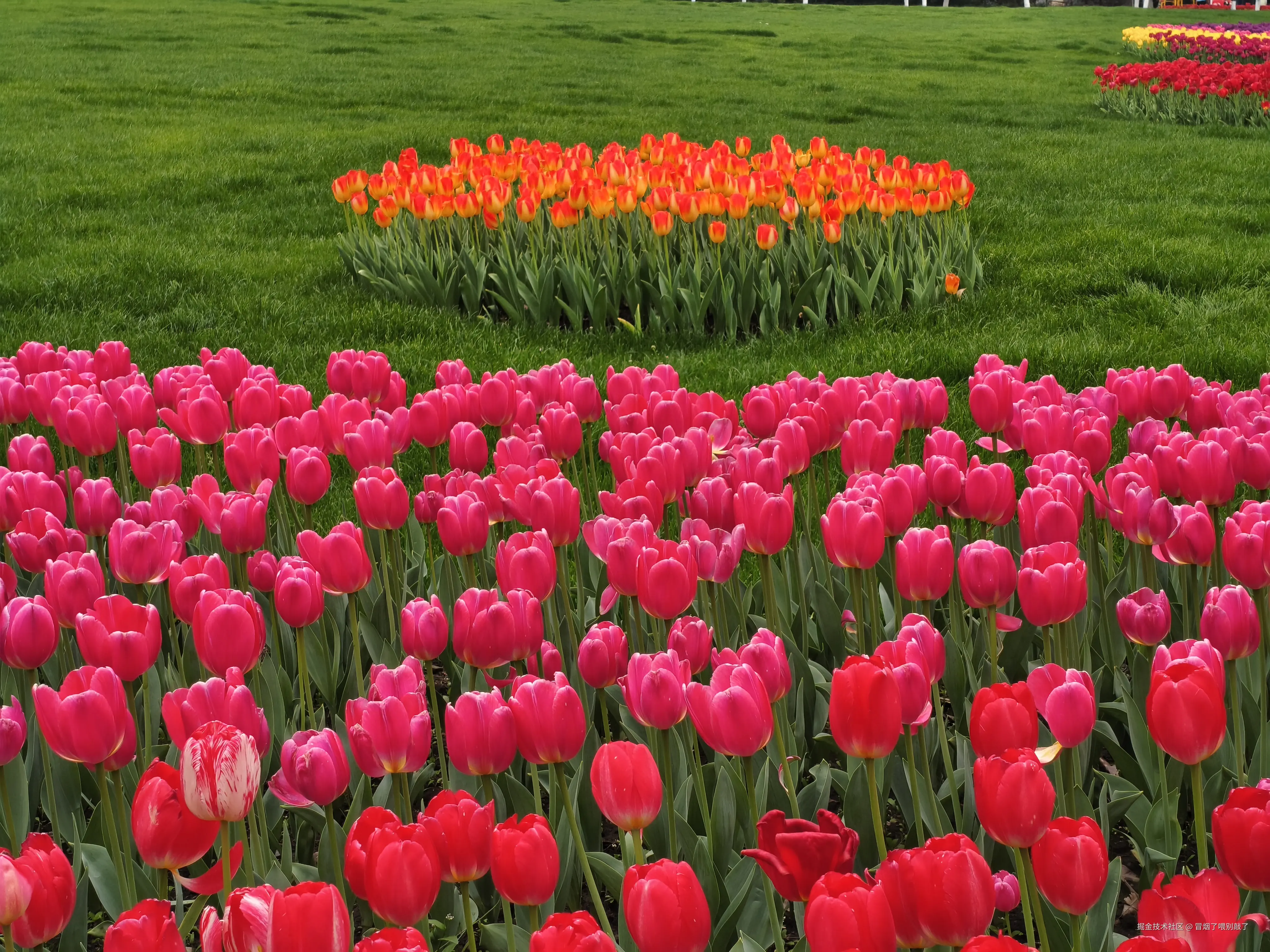 冒烟了喂别敲了于2026-03-23 12:05发布的图片