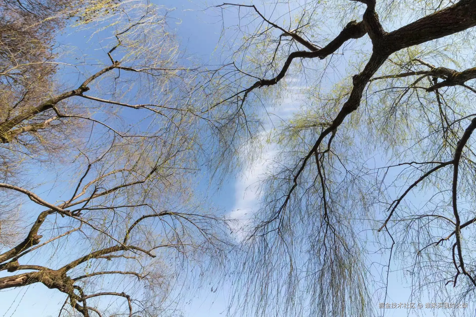 谁来买我的火柴于2024-10-31 09:10发布的图片