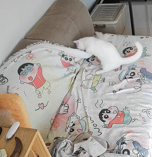 就爱吃火锅于2025-09-28 12:49发布的图片