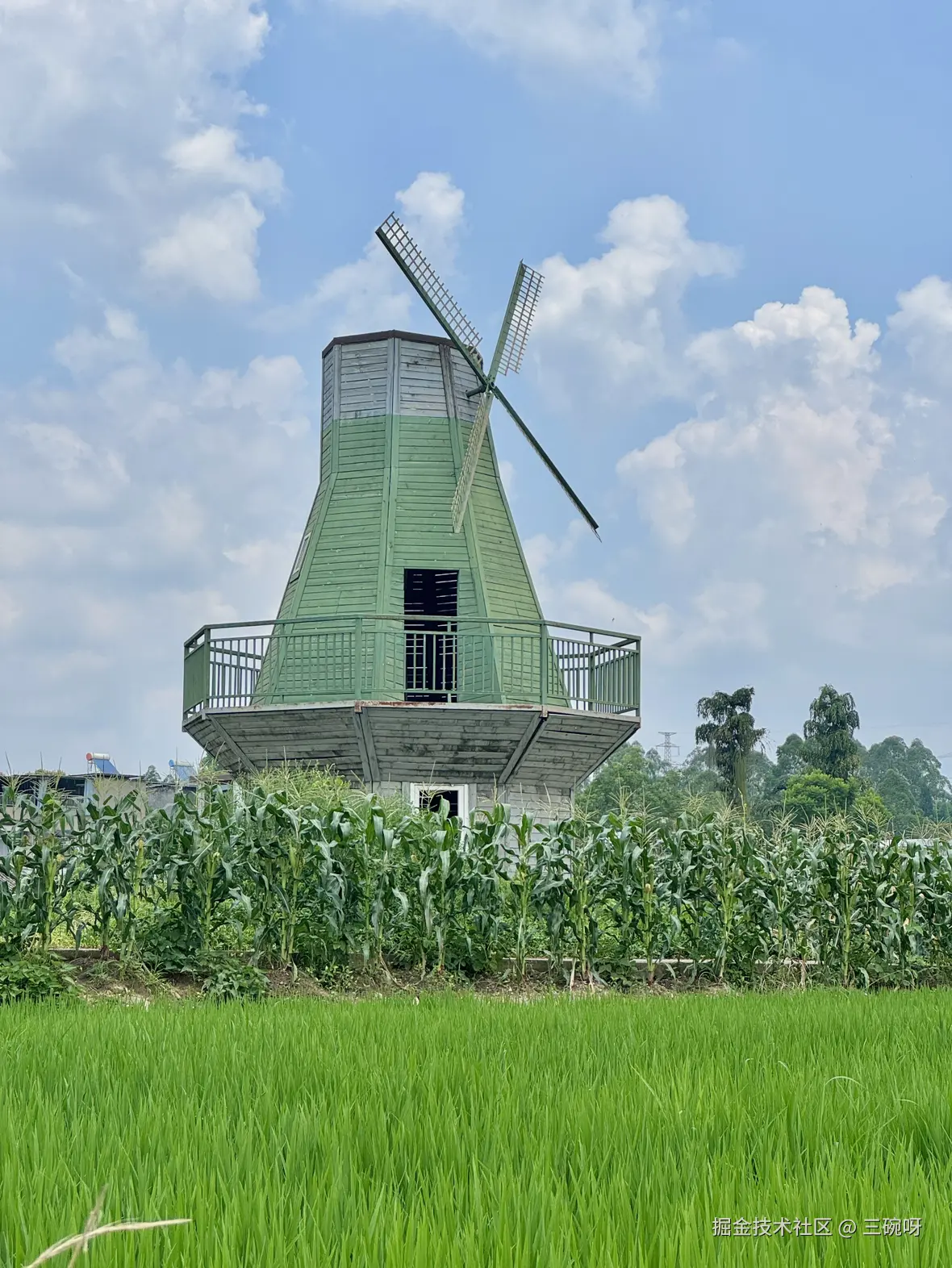 三碗呀于2025-07-28 10:00发布的图片