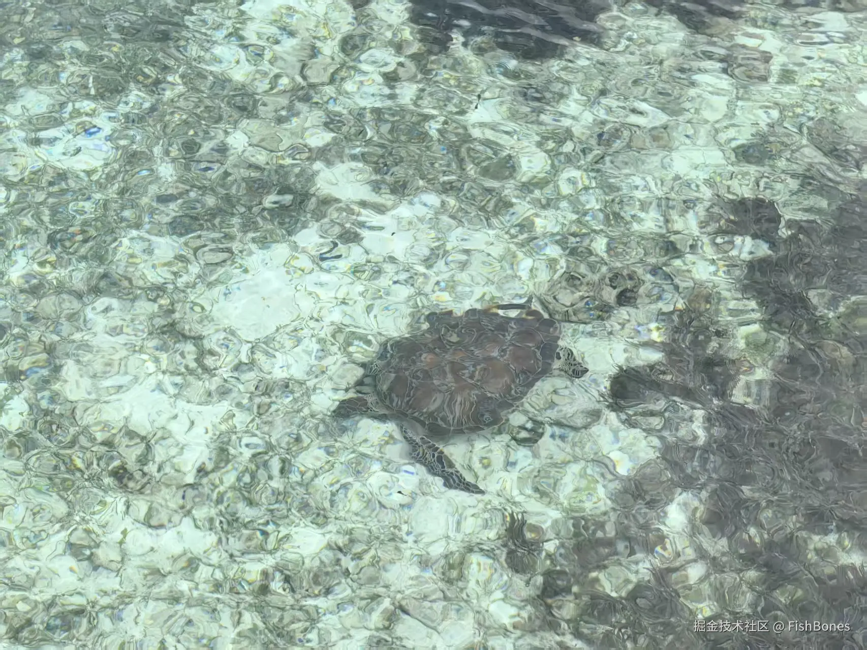FishBones于2025-10-09 07:46发布的图片