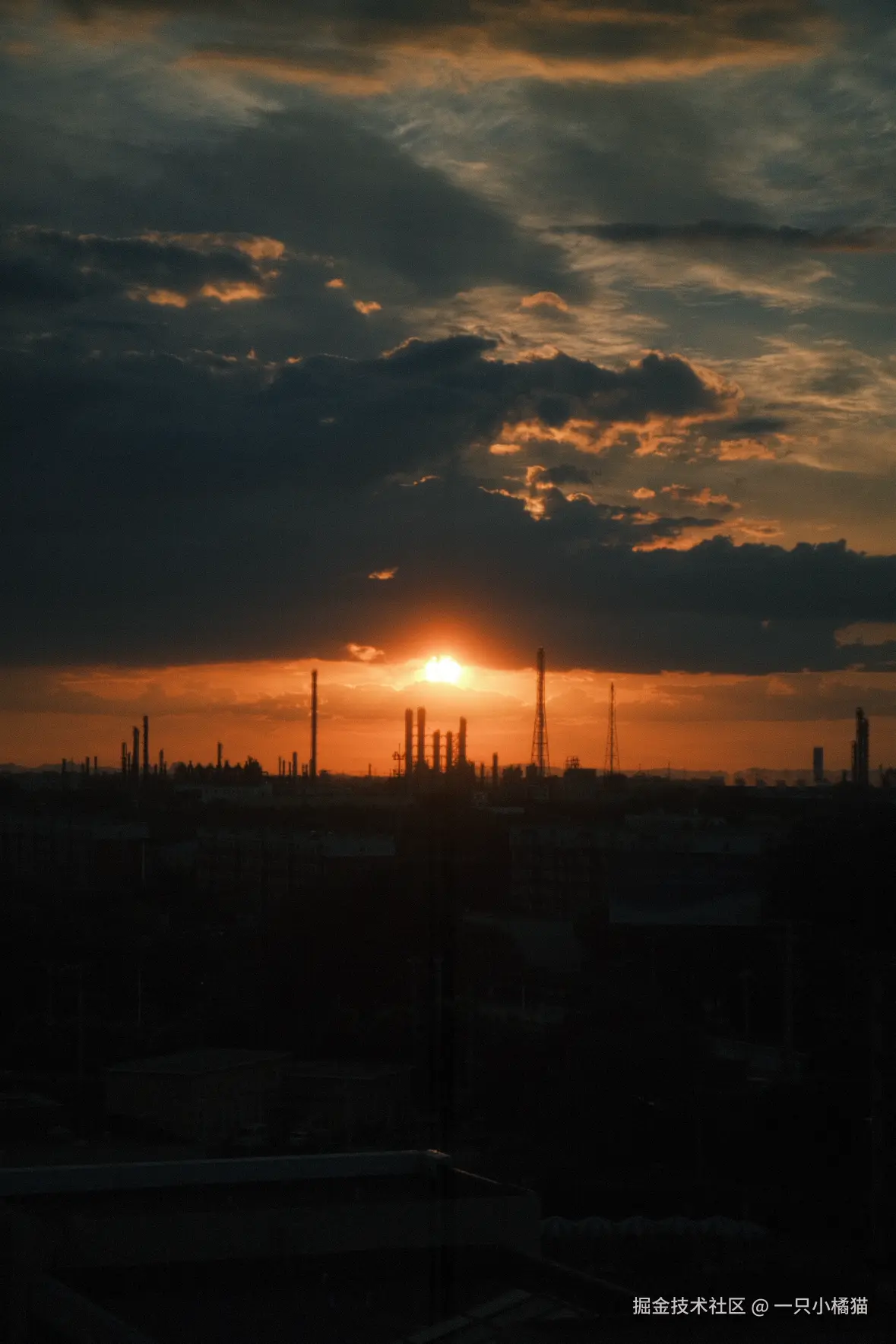 一只小橘猫于2025-08-08 13:38发布的图片