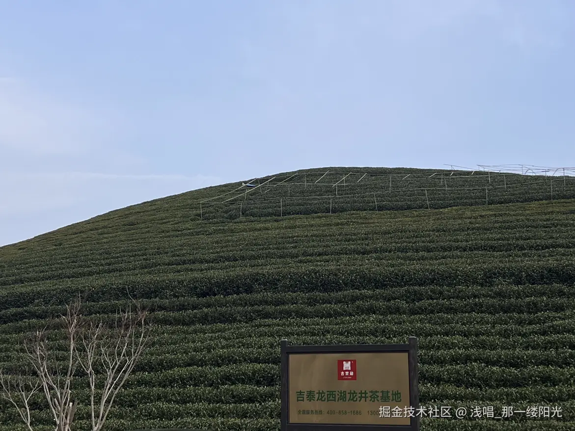 浅唱_那一缕阳光于2026-03-09 10:07发布的图片