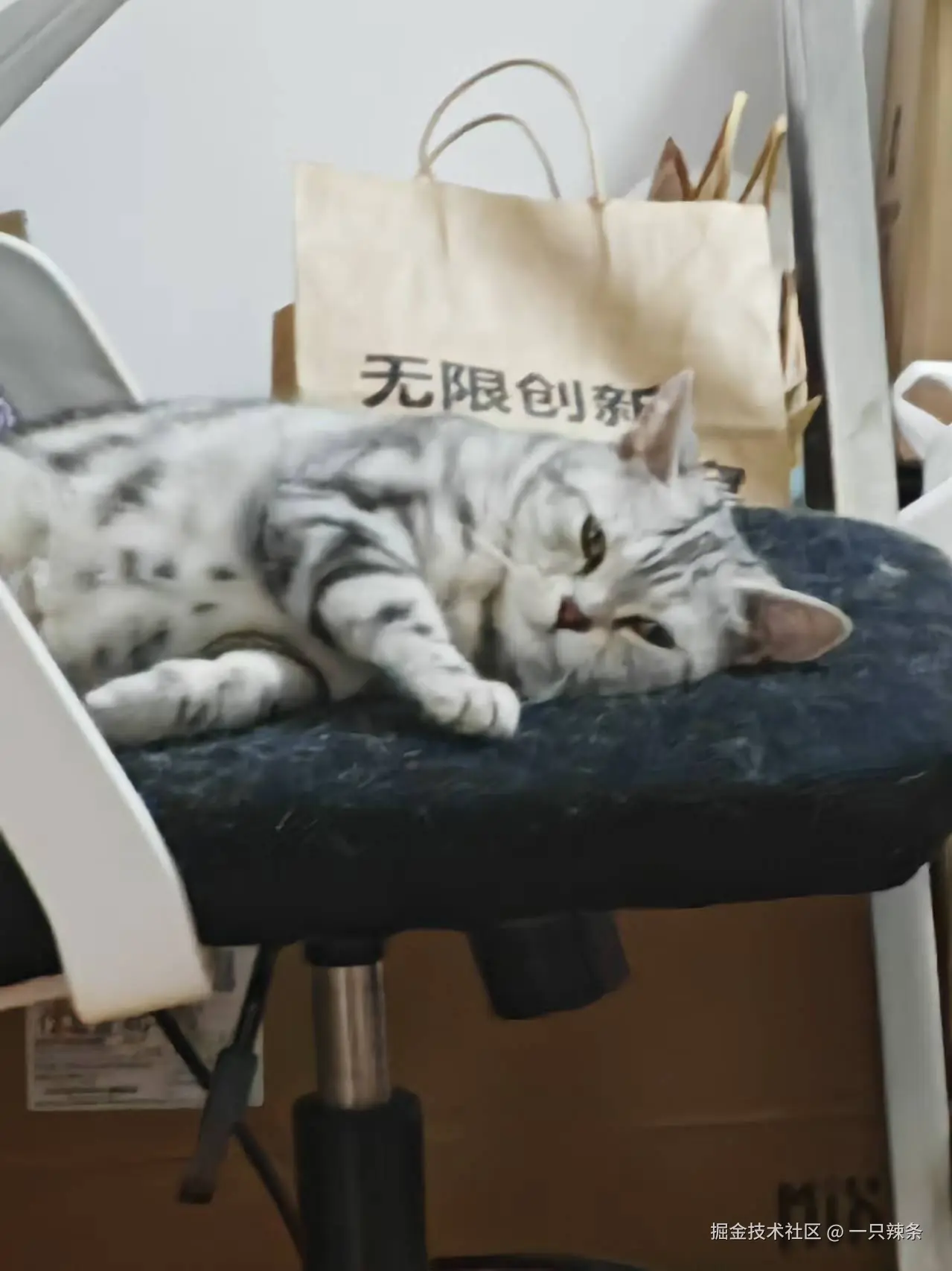 一只辣条于2025-05-15 11:28发布的图片