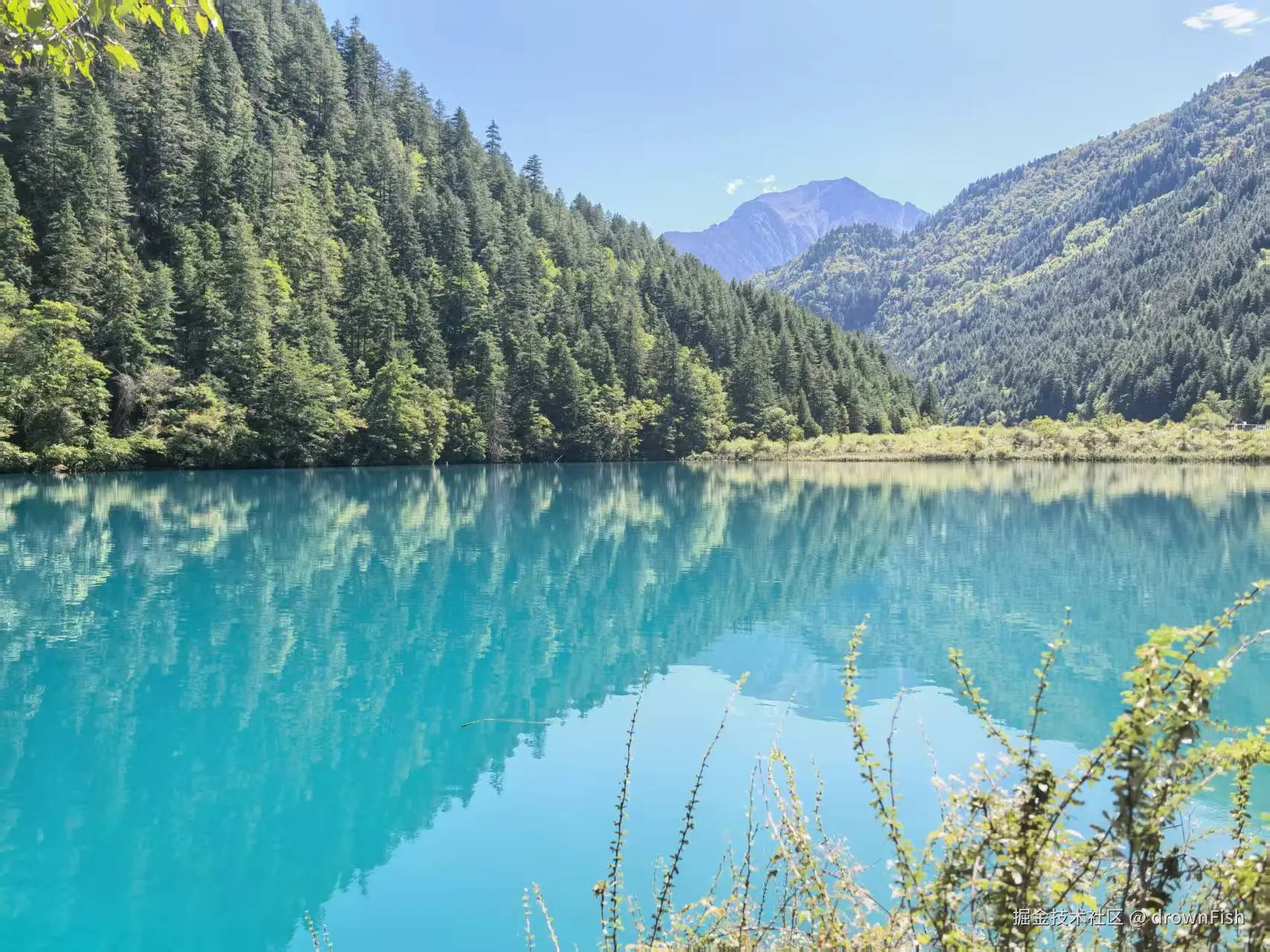 drownFish于2025-10-09 09:42发布的图片