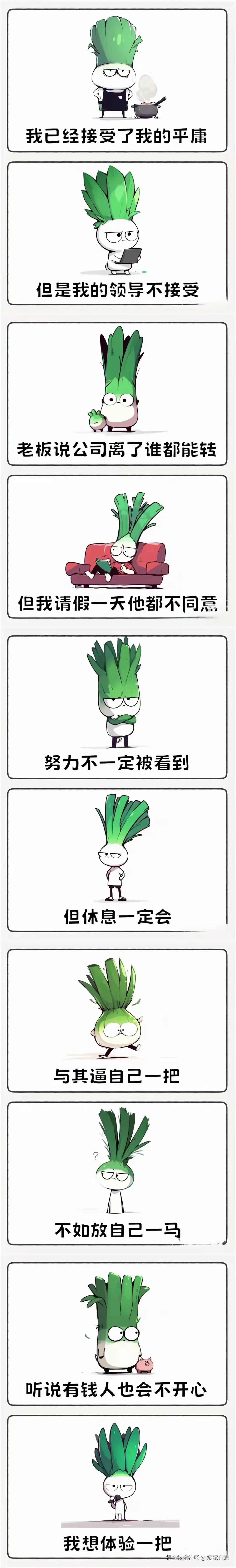 斌斌有鲤于2024-08-27 09:51发布的图片