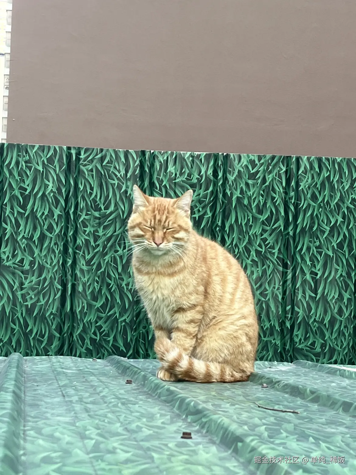 单纯_稀饭于2025-10-13 17:51发布的图片