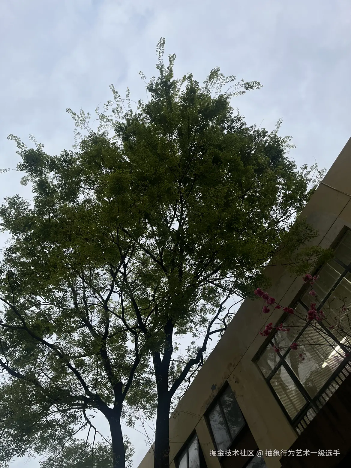 抽象行为艺术一级选手于2026-03-11 19:06发布的图片