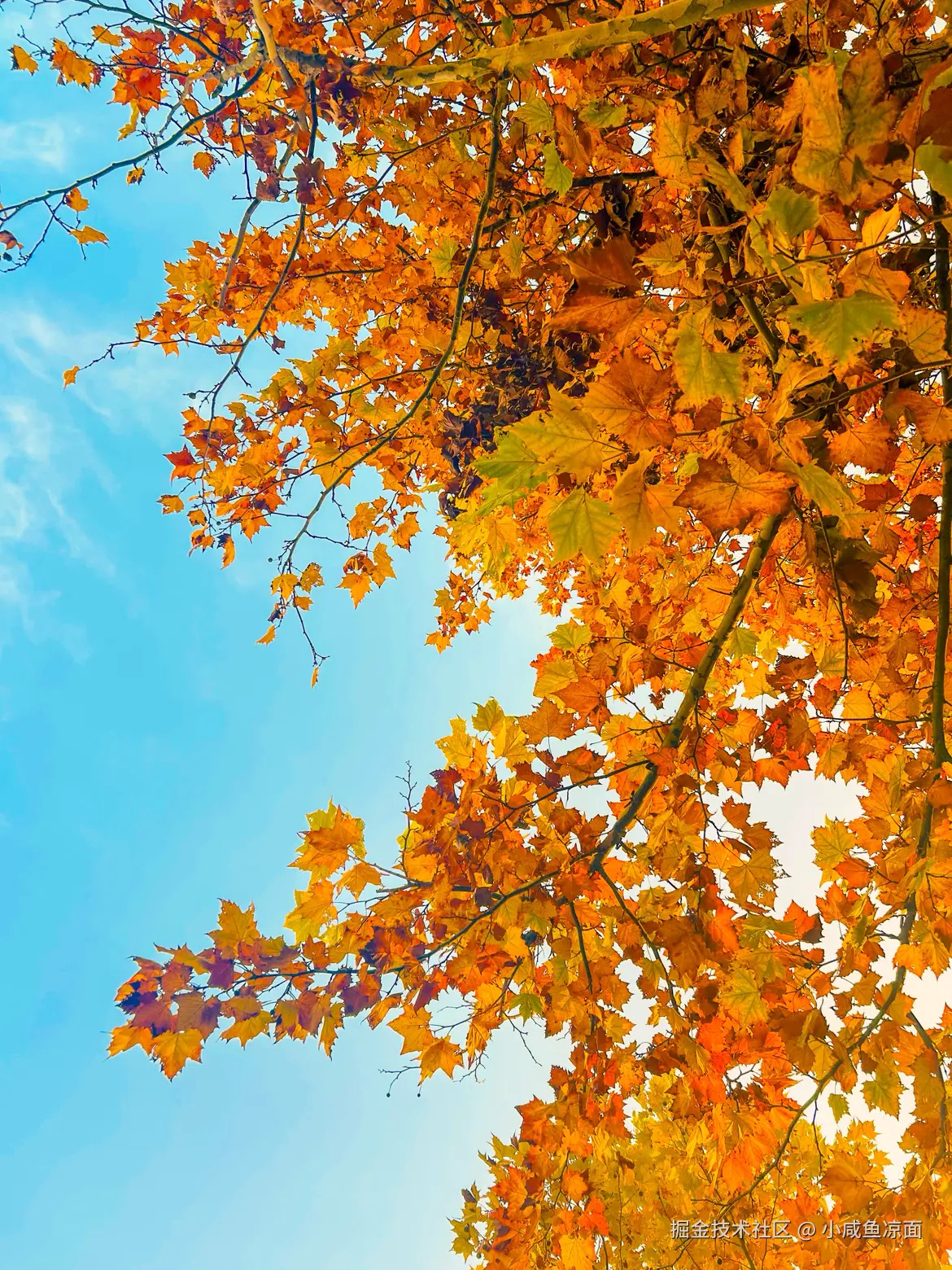 小咸鱼凉面于2025-12-10 08:28发布的图片