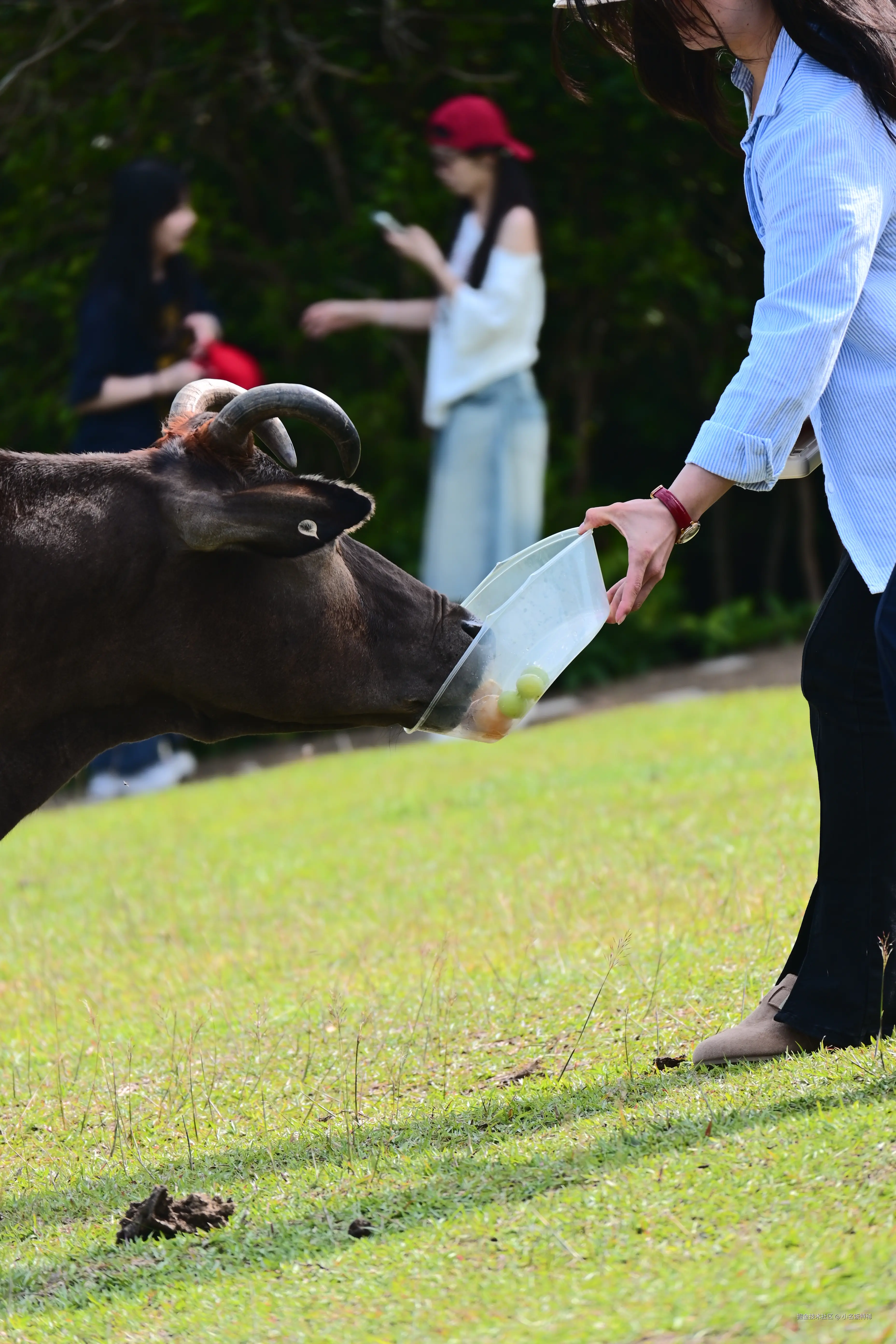 小名饭特稀于2026-04-27 10:47发布的图片
