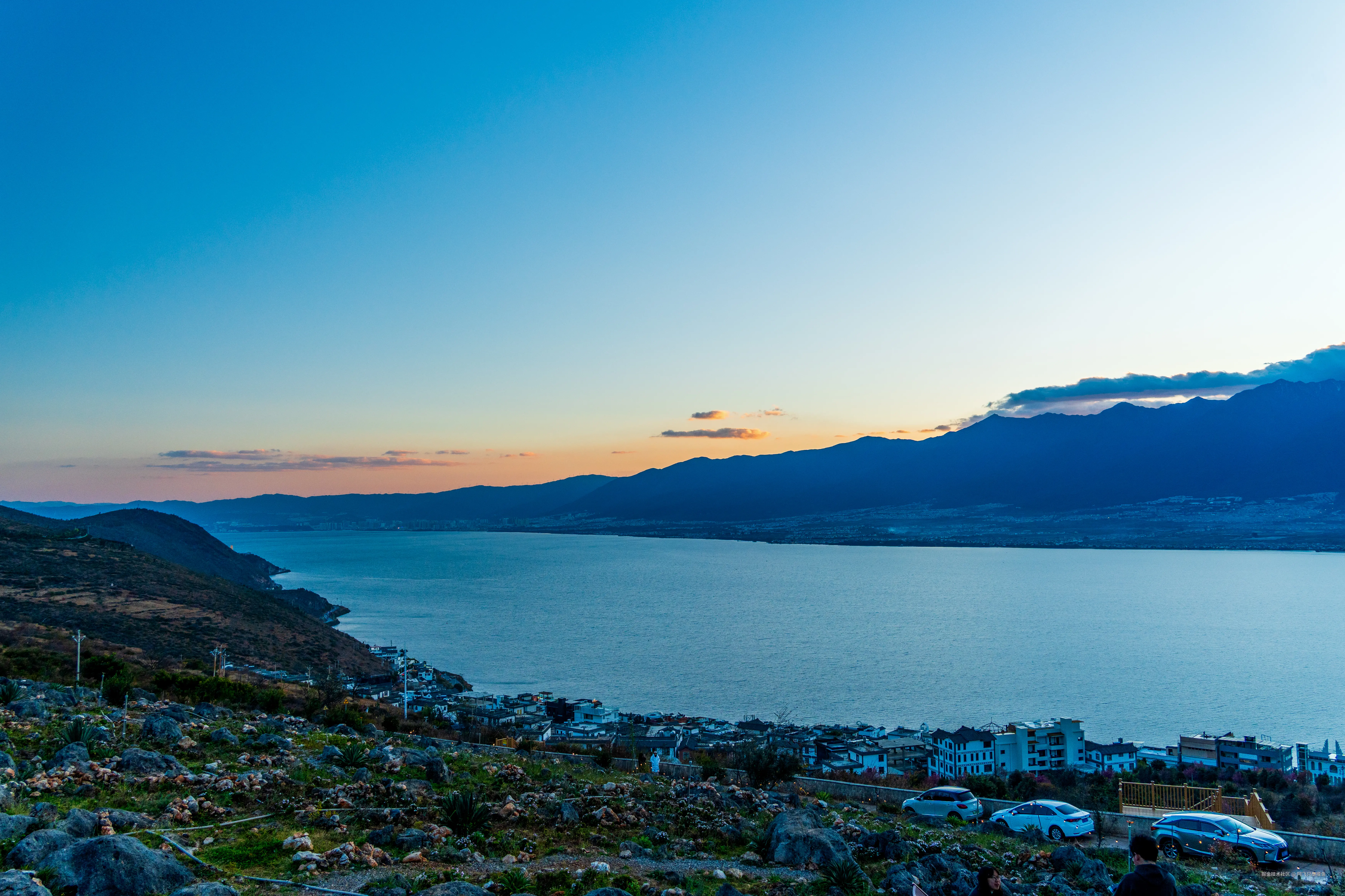 阿飞只想摸鱼于2026-02-11 14:43发布的图片