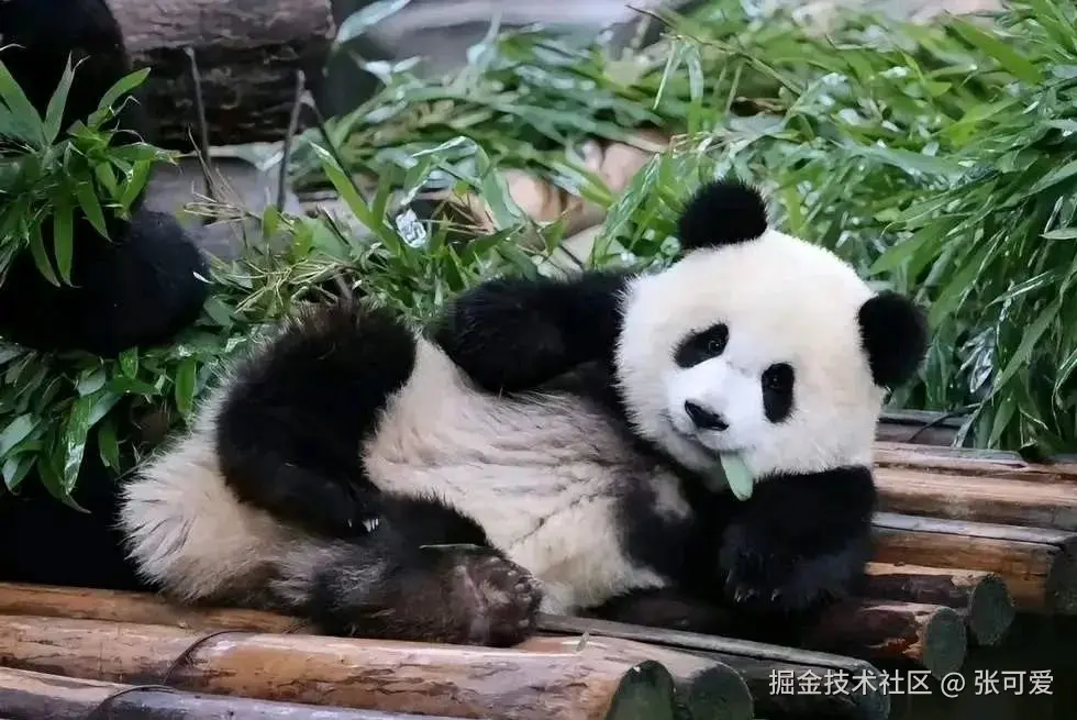 python练习日常笔记