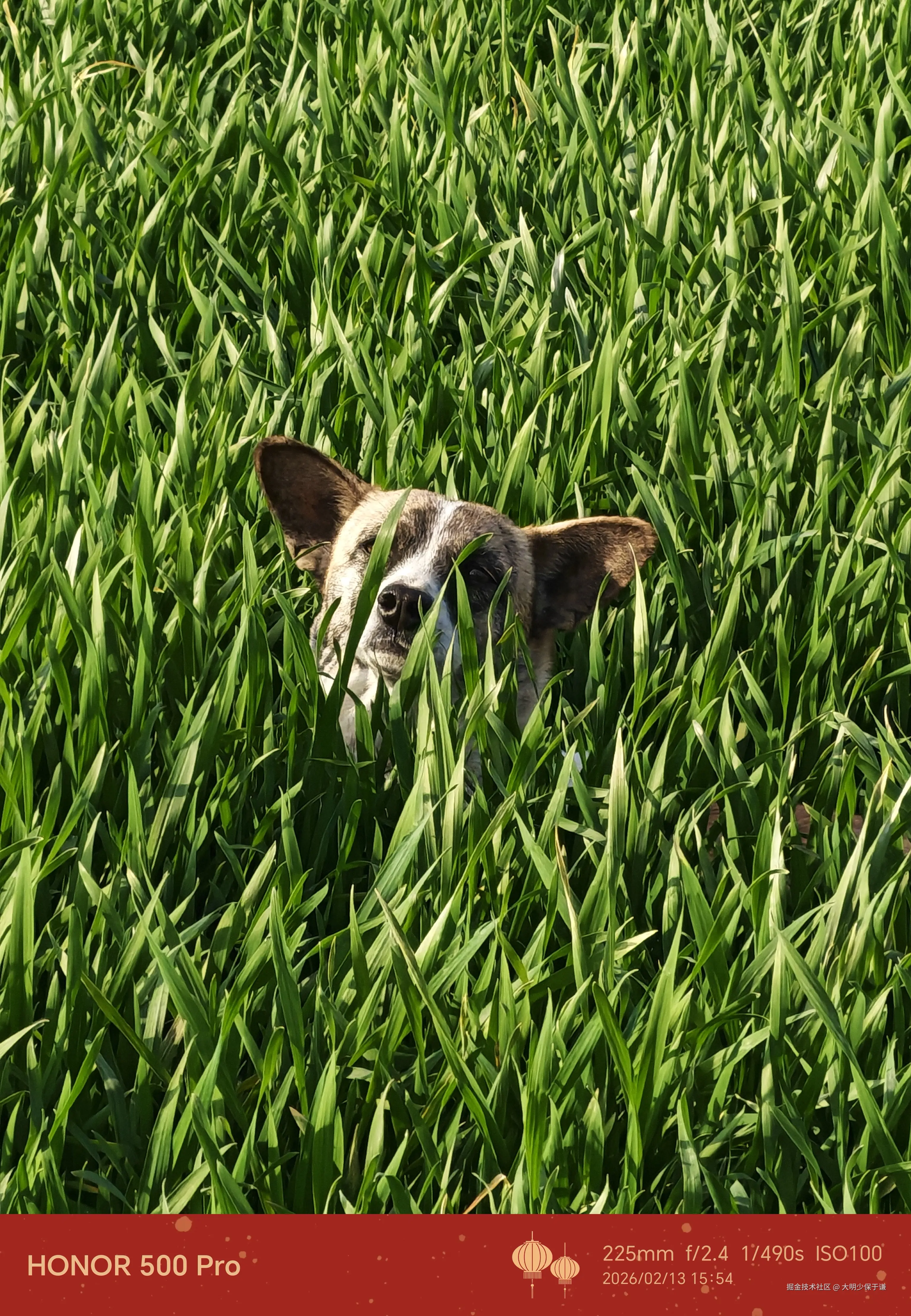 大明少保于谦于2026-02-25 16:39发布的图片