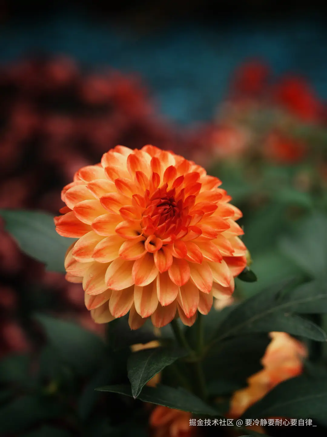 要冷静要耐心要自律_于2025-03-12 16:46发布的图片