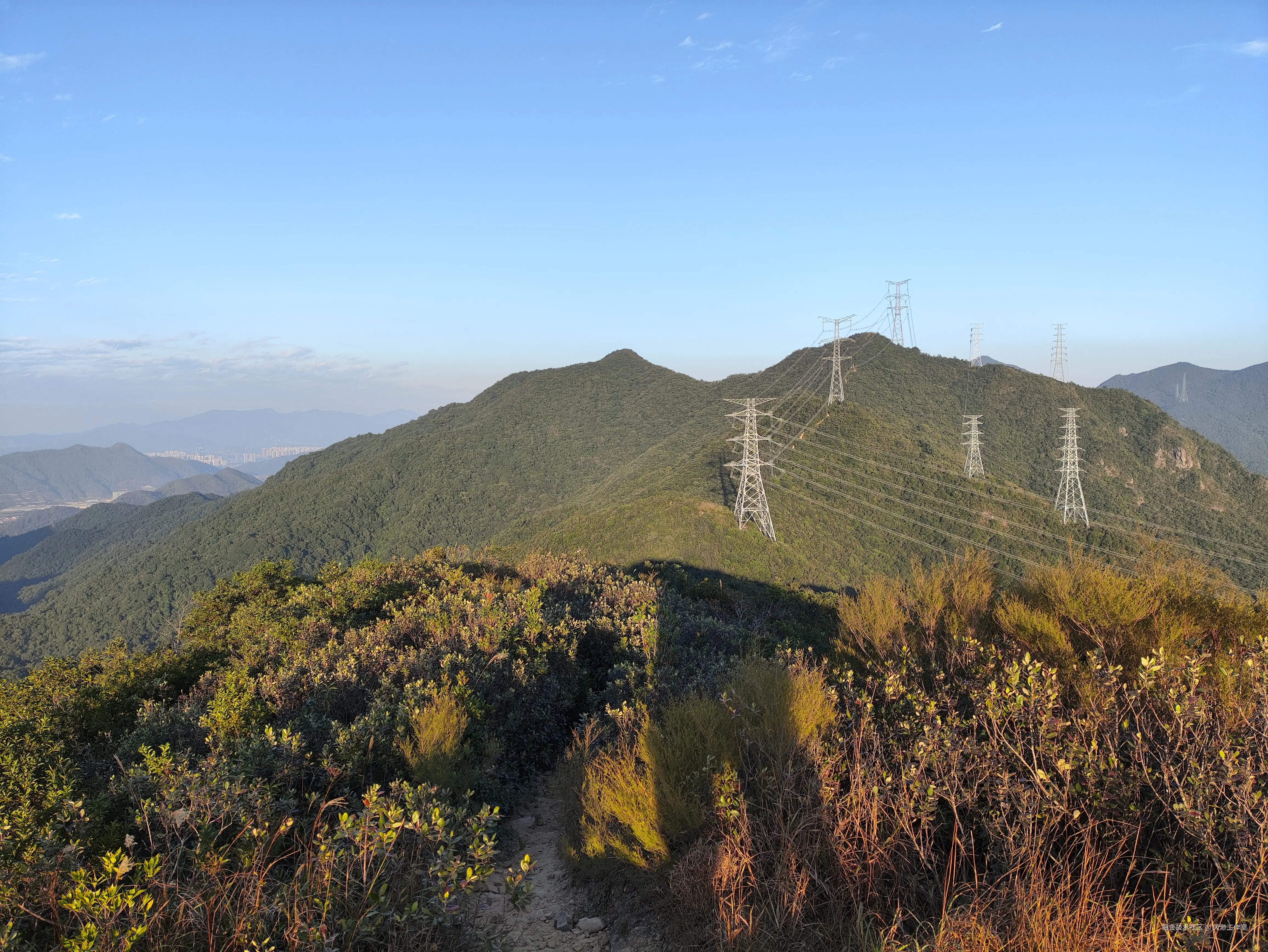 天渺工作室于2025-11-24 04:40发布的图片