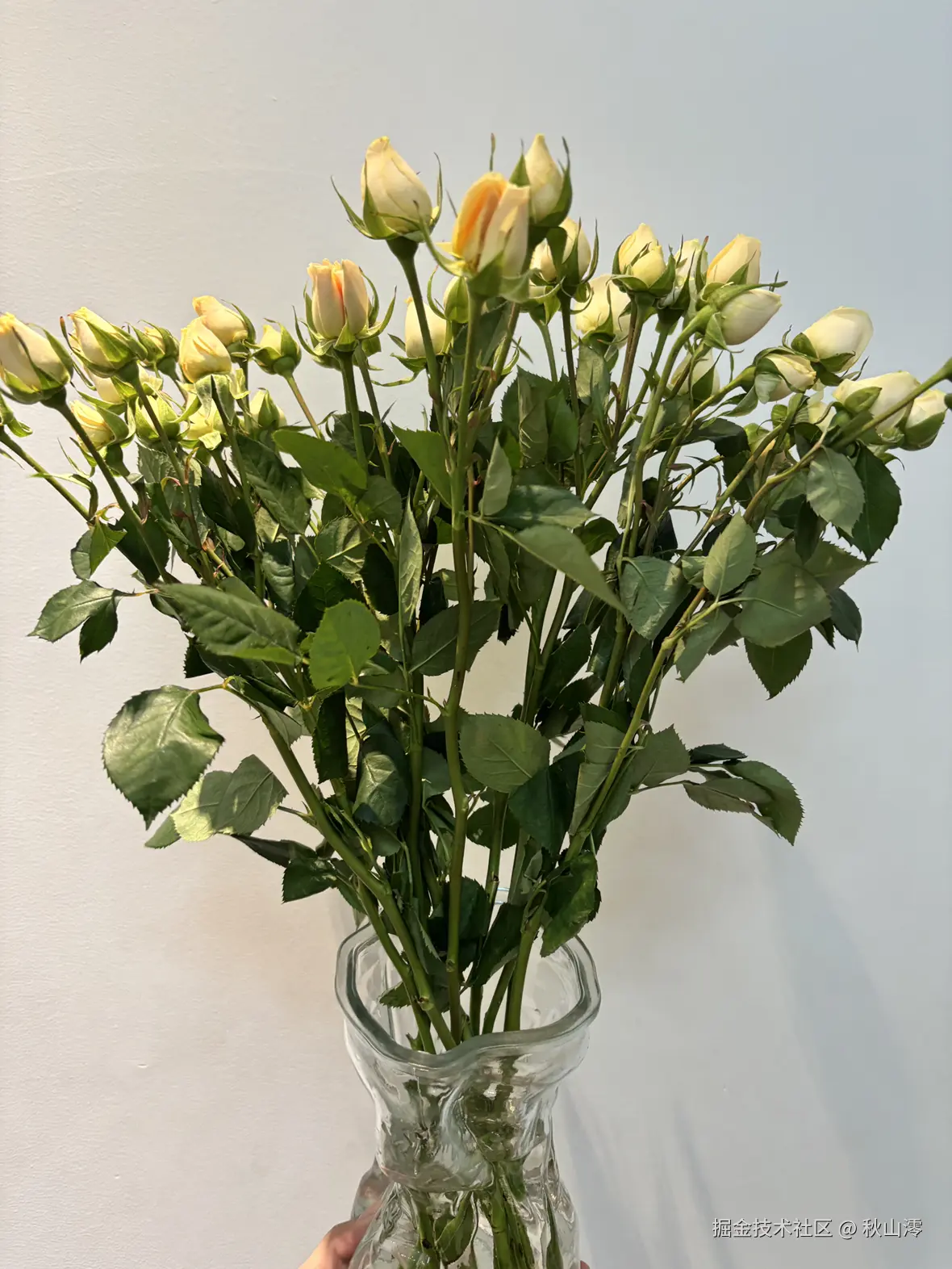 秋山澪于2025-02-24 09:32发布的图片