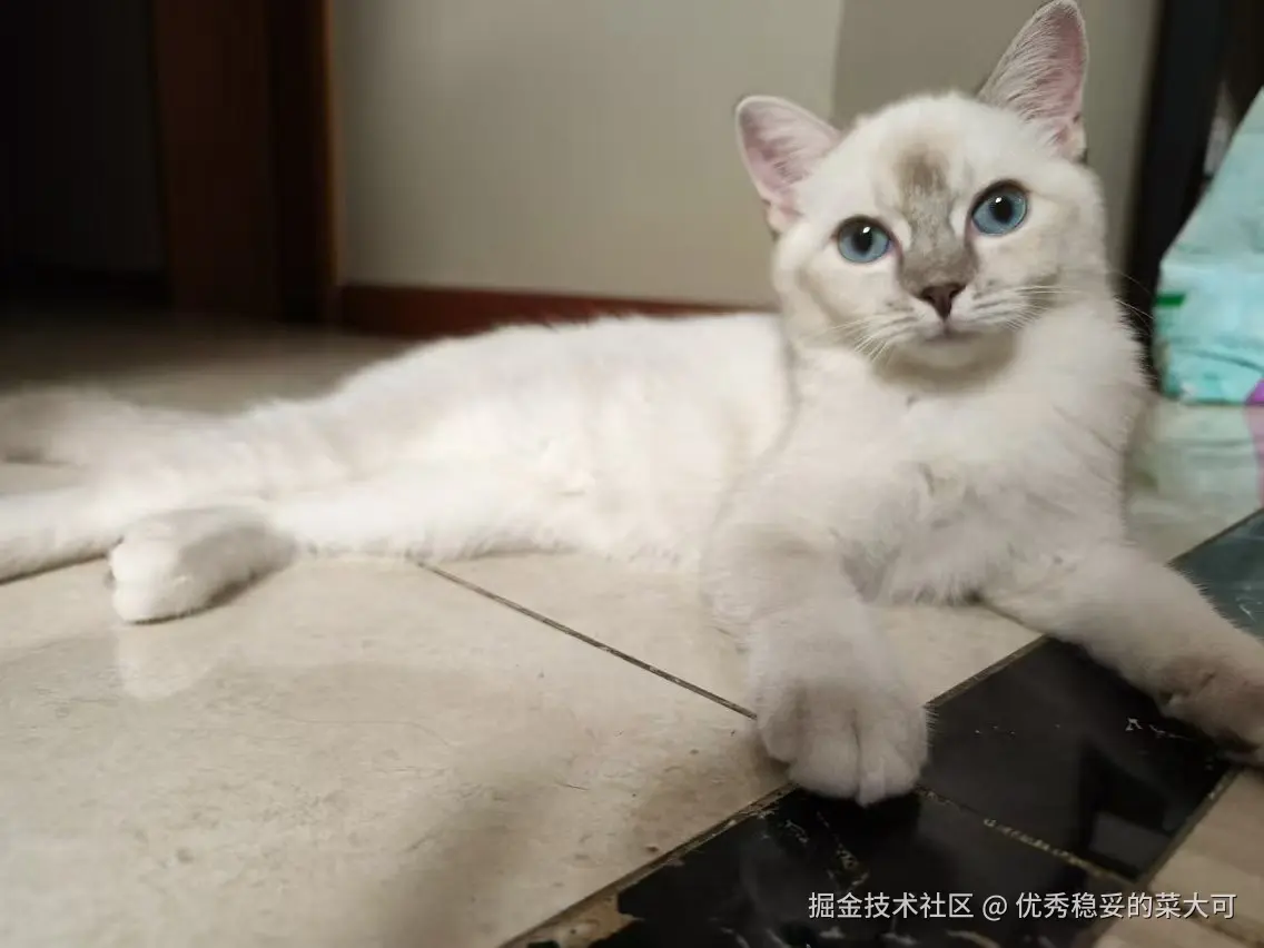 优秀稳妥的菜大可于2024-09-06 08:30发布的图片