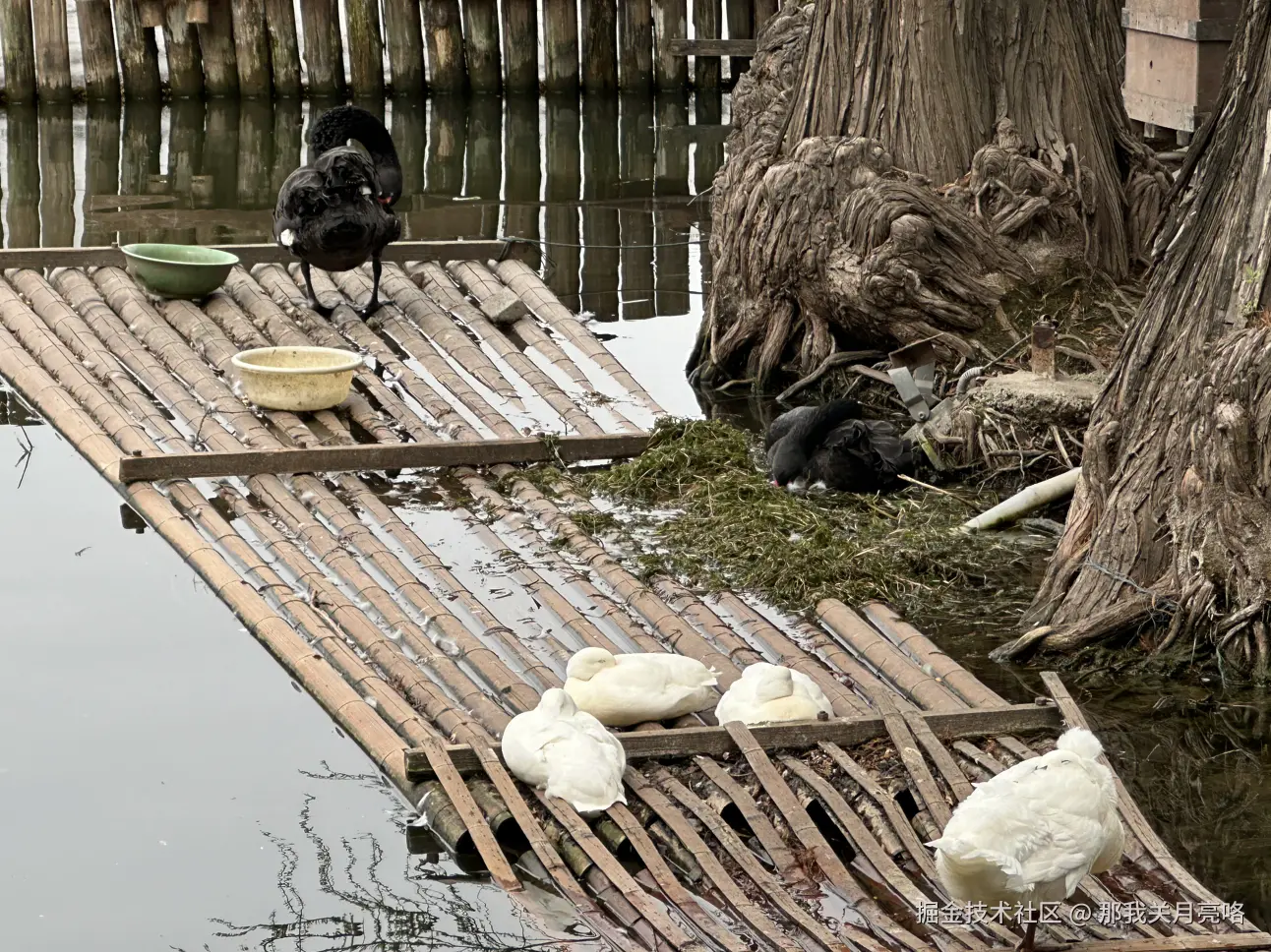 那我关月亮咯于2025-03-31 14:28发布的图片