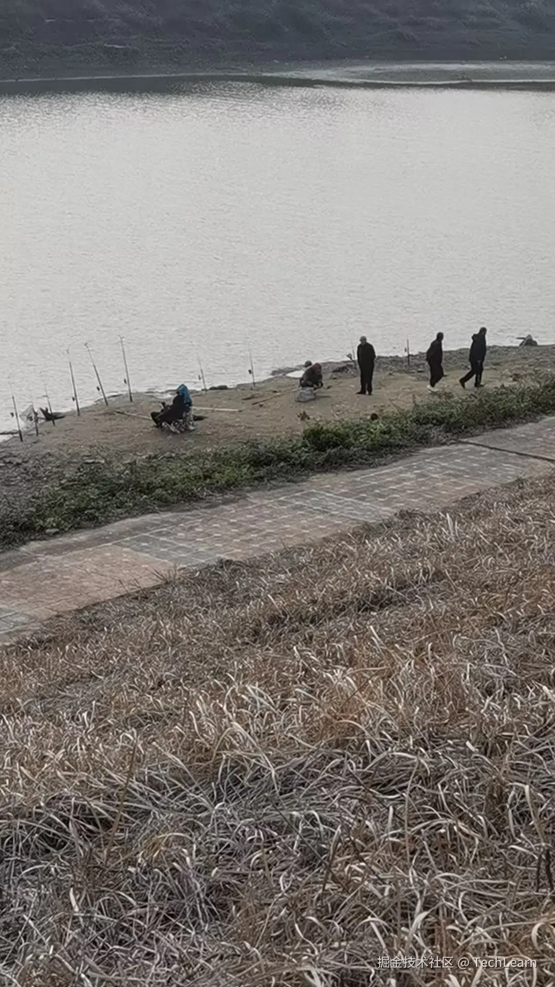 TechLearn于2024-12-15 13:39发布的图片