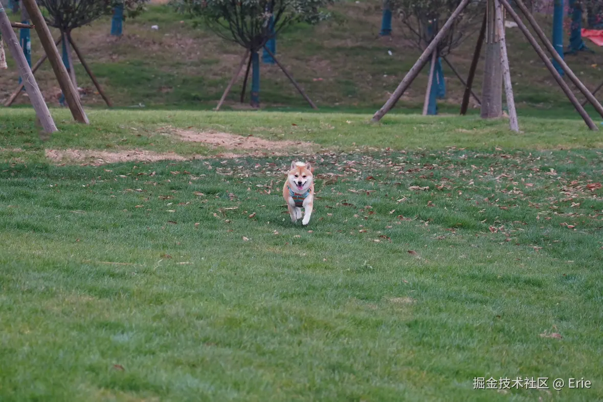 Erie于2024-12-24 10:18发布的图片