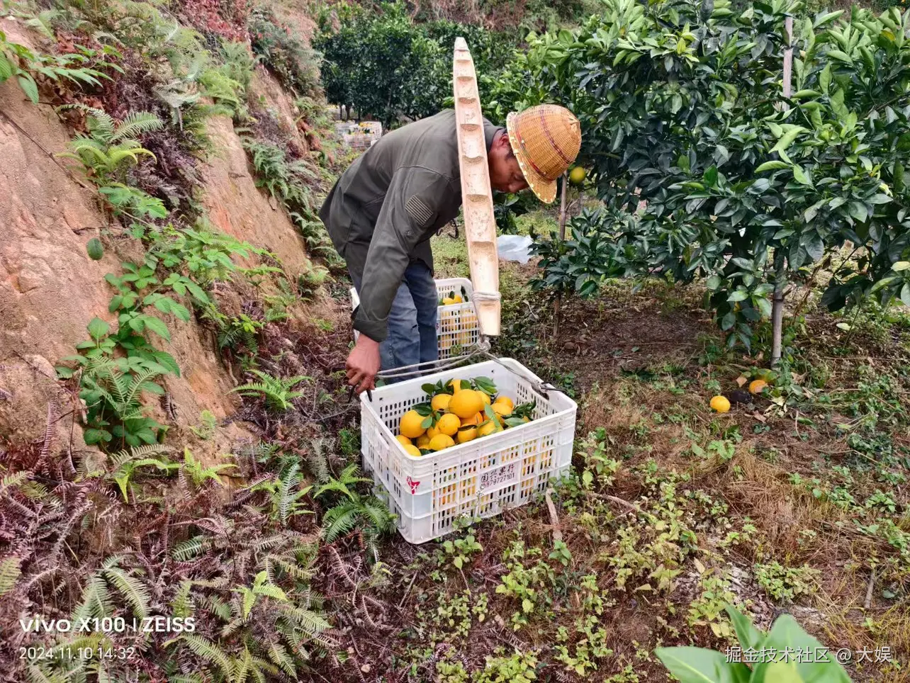 大娱于2024-11-21 15:23发布的图片