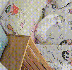 就爱吃火锅于2025-11-04 17:08发布的图片