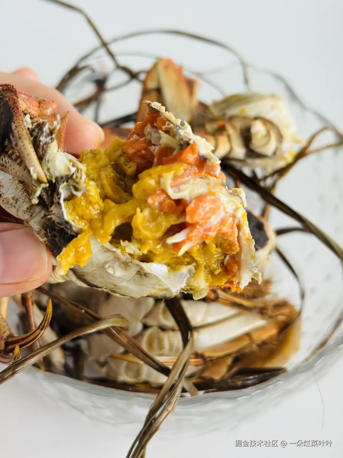 一朵烂菜叶叶于2025-11-06 13:07发布的图片