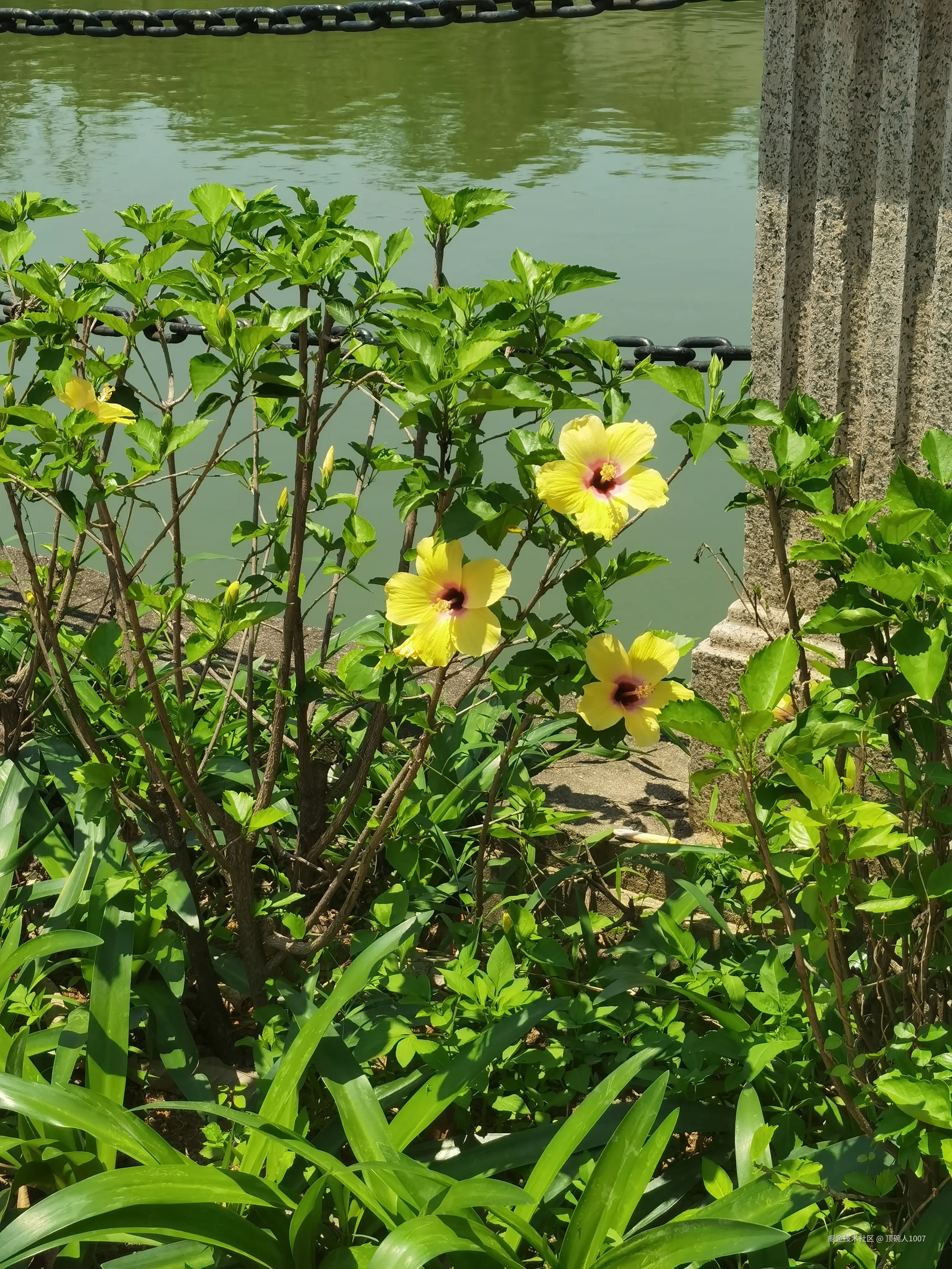 顶碗人1007于2025-05-14 11:20发布的图片