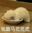whitee于2025-09-17 03:46发布的图片