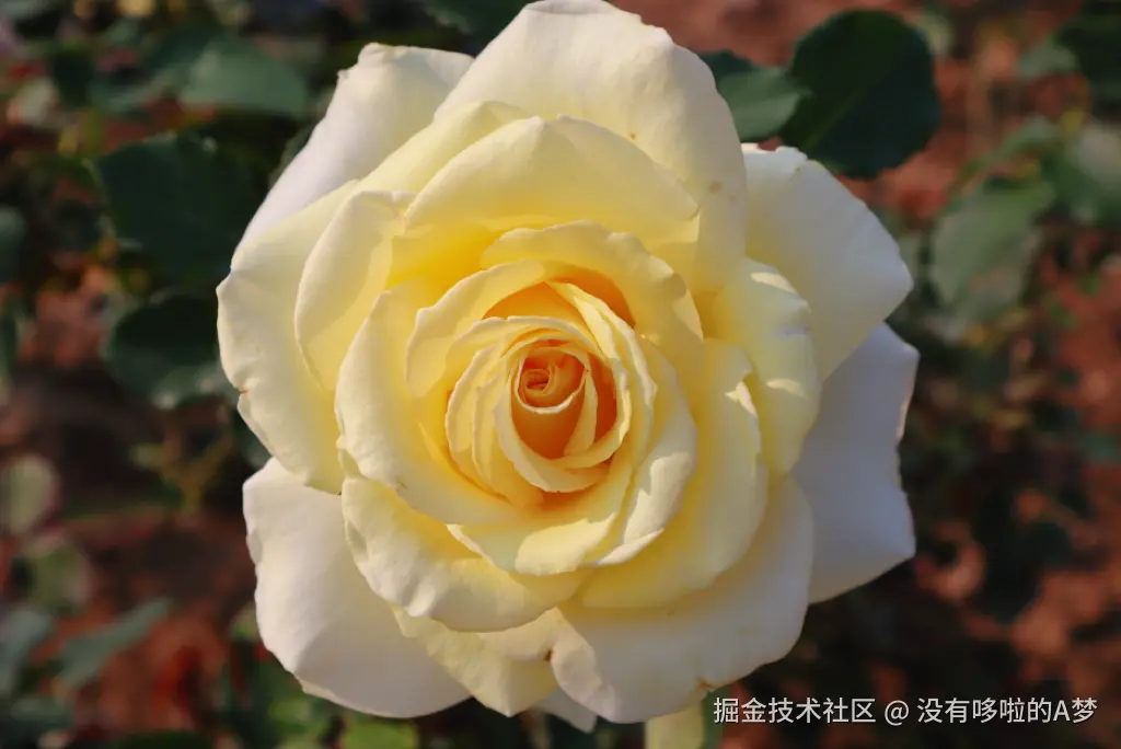 没有哆啦的A梦于2025-03-26 13:42发布的图片