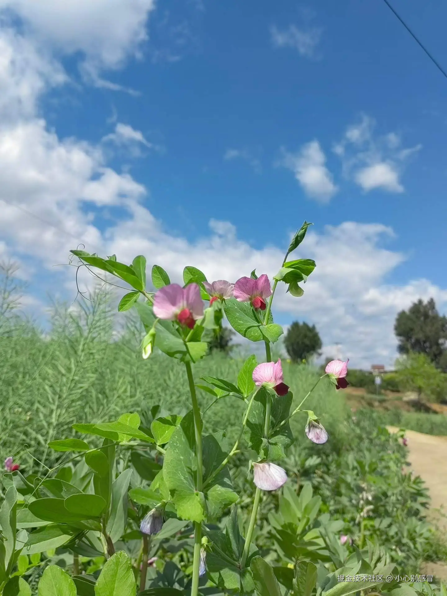 小心别感冒于2026-03-24 15:41发布的图片