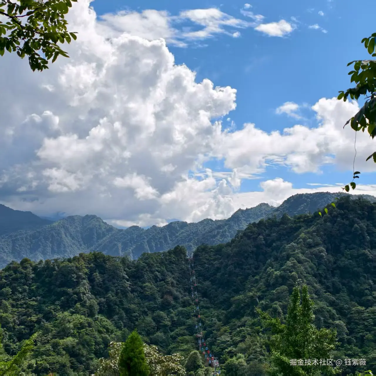 钰紫薇于2025-07-28 09:17发布的图片